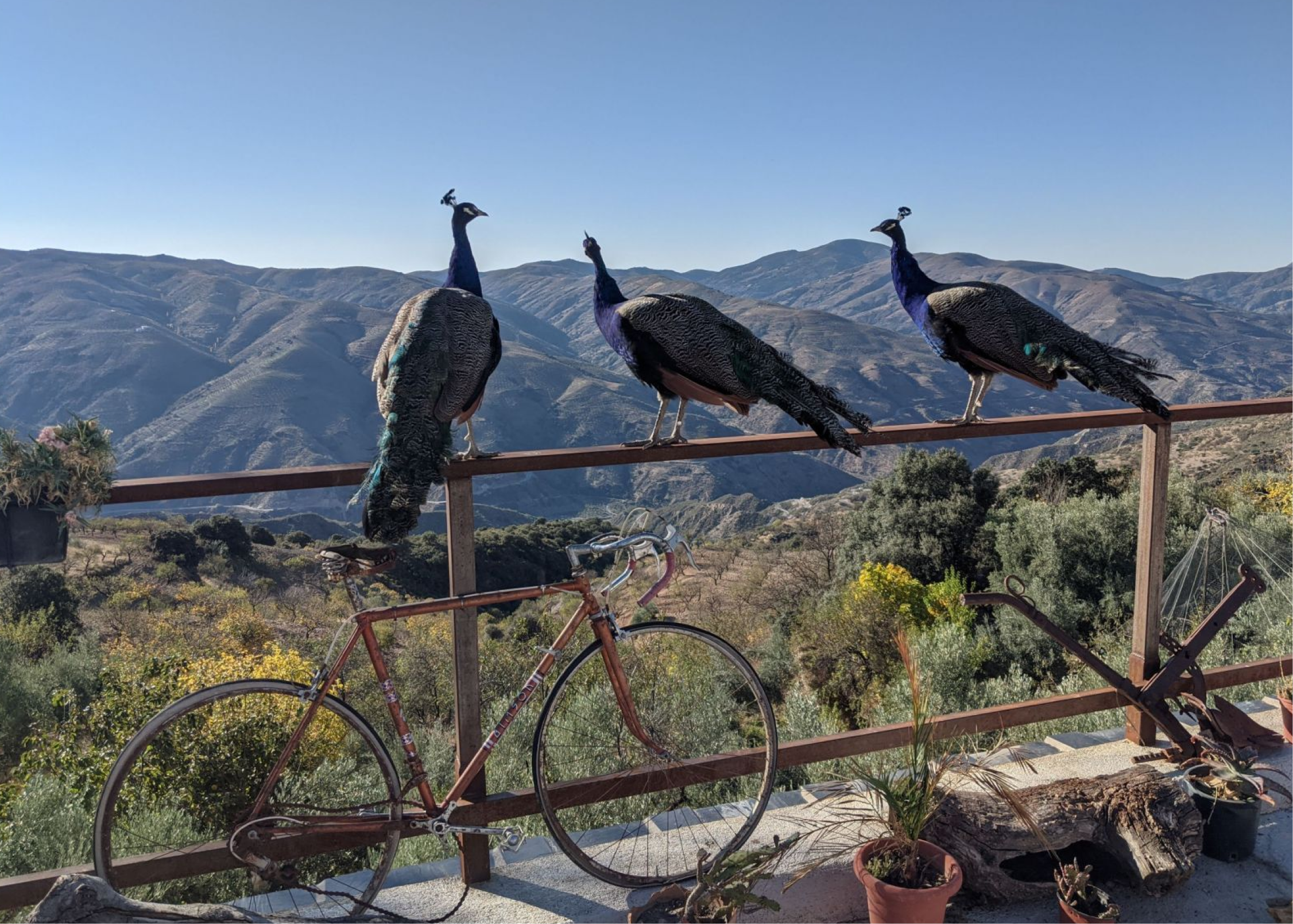 events: Granadas Berge – non-profit Selbsterfahrungscamp für eine achtsame Verbindung mit dir