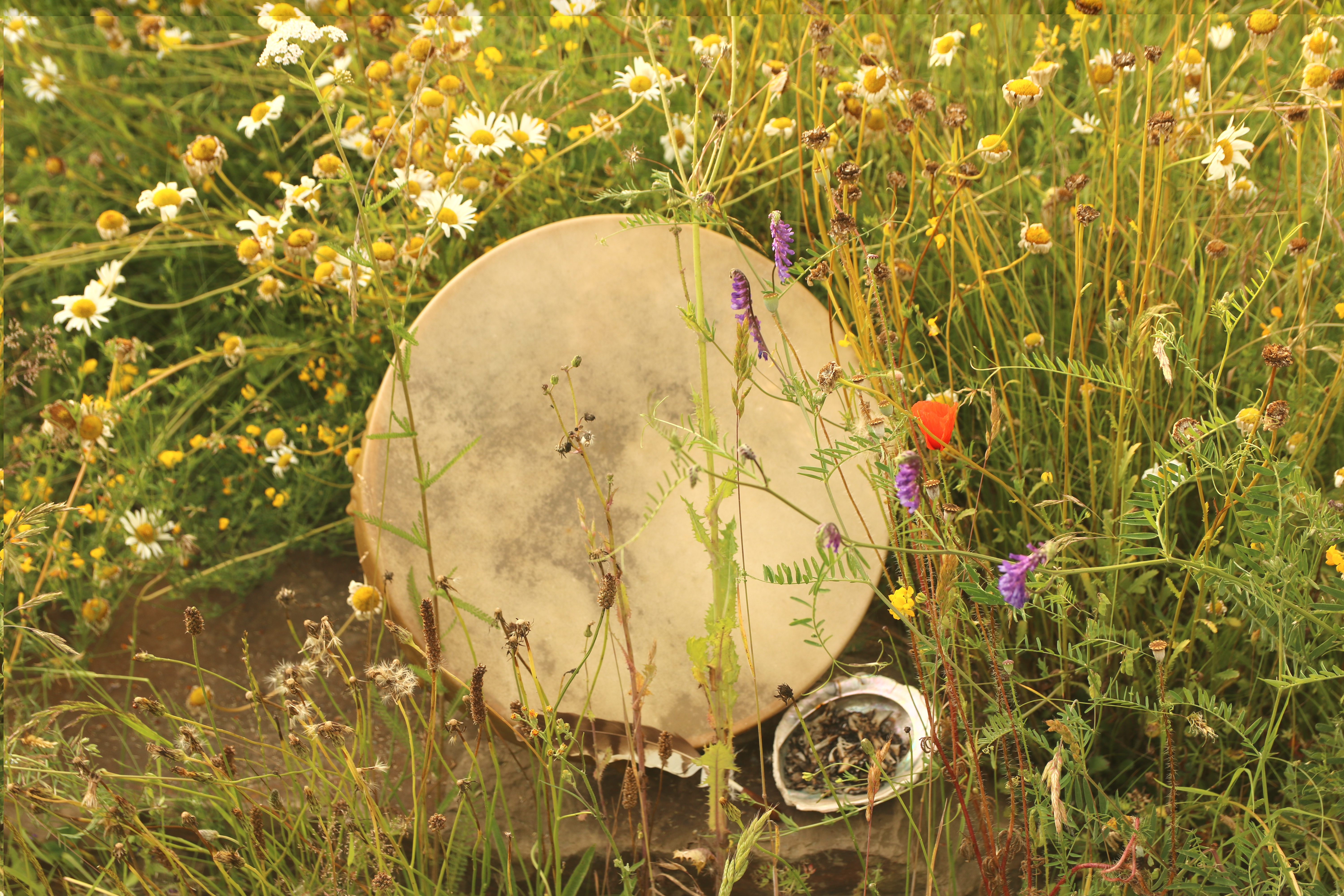 event - Familienaufstellung- mal anders