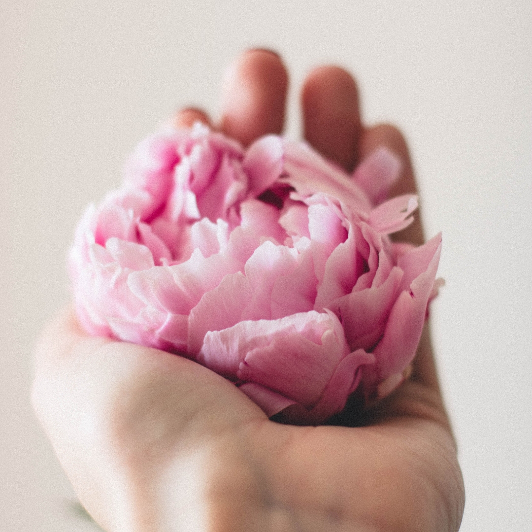 event - Rose in Hand
 - Feminine Health Circle: Wechseljahre ~ Spiritualität & Körperlichkeit