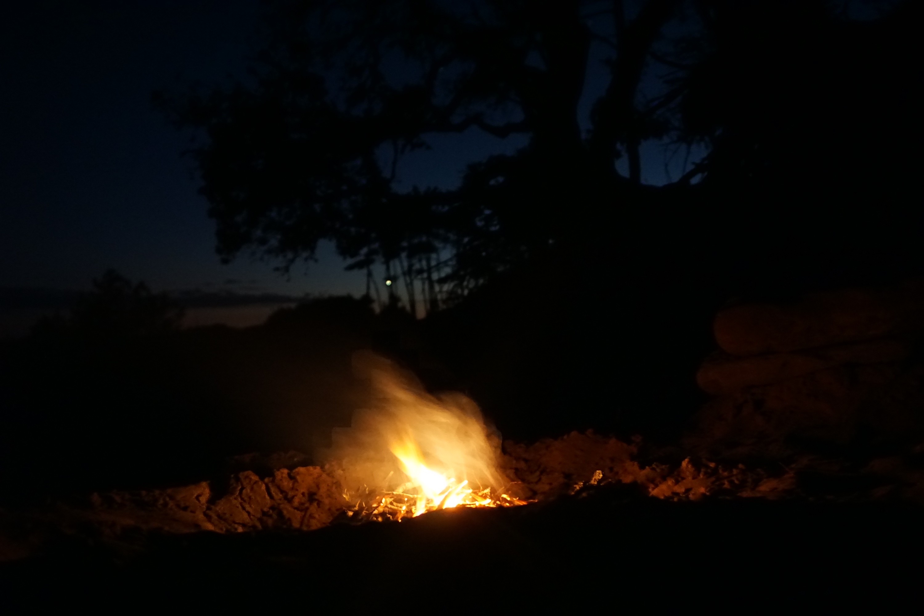 event - Naturdialogische Begleitung