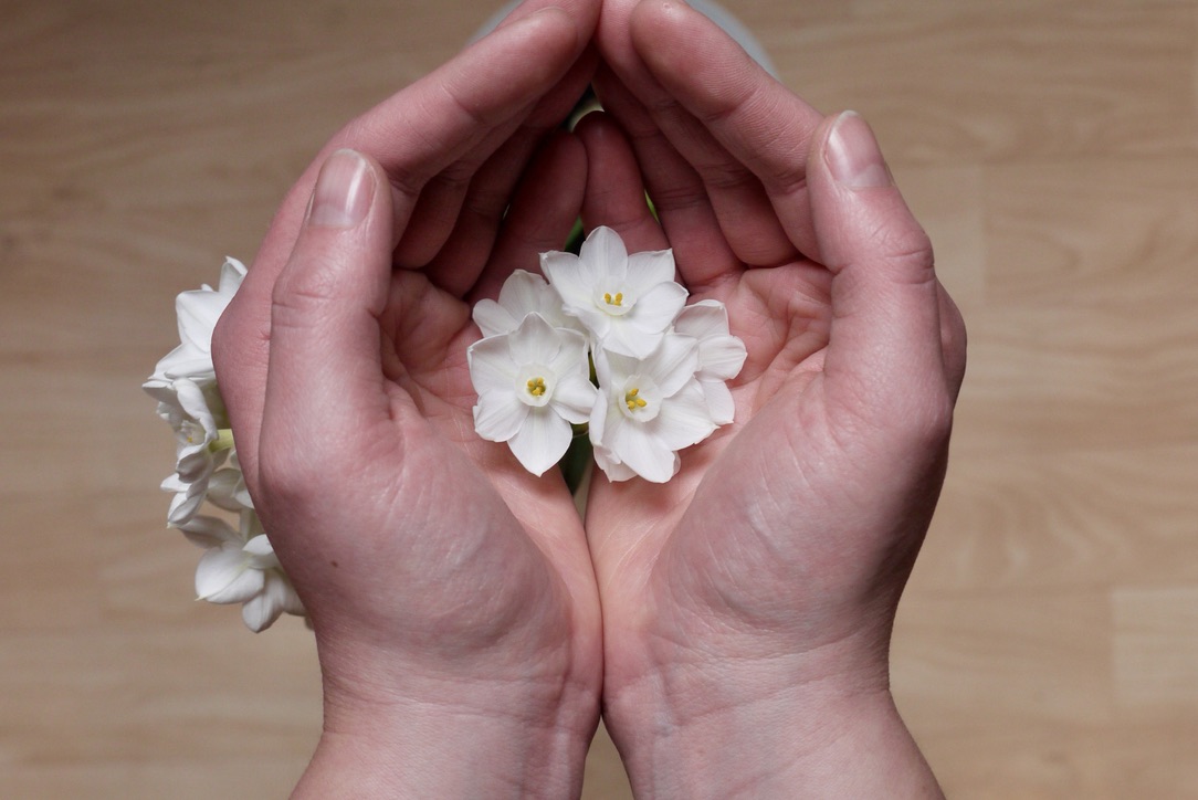 events - Zwei Hände bilden eine Schale um Blüten - Me and My Space - In Verbindung mit mir selbst sein