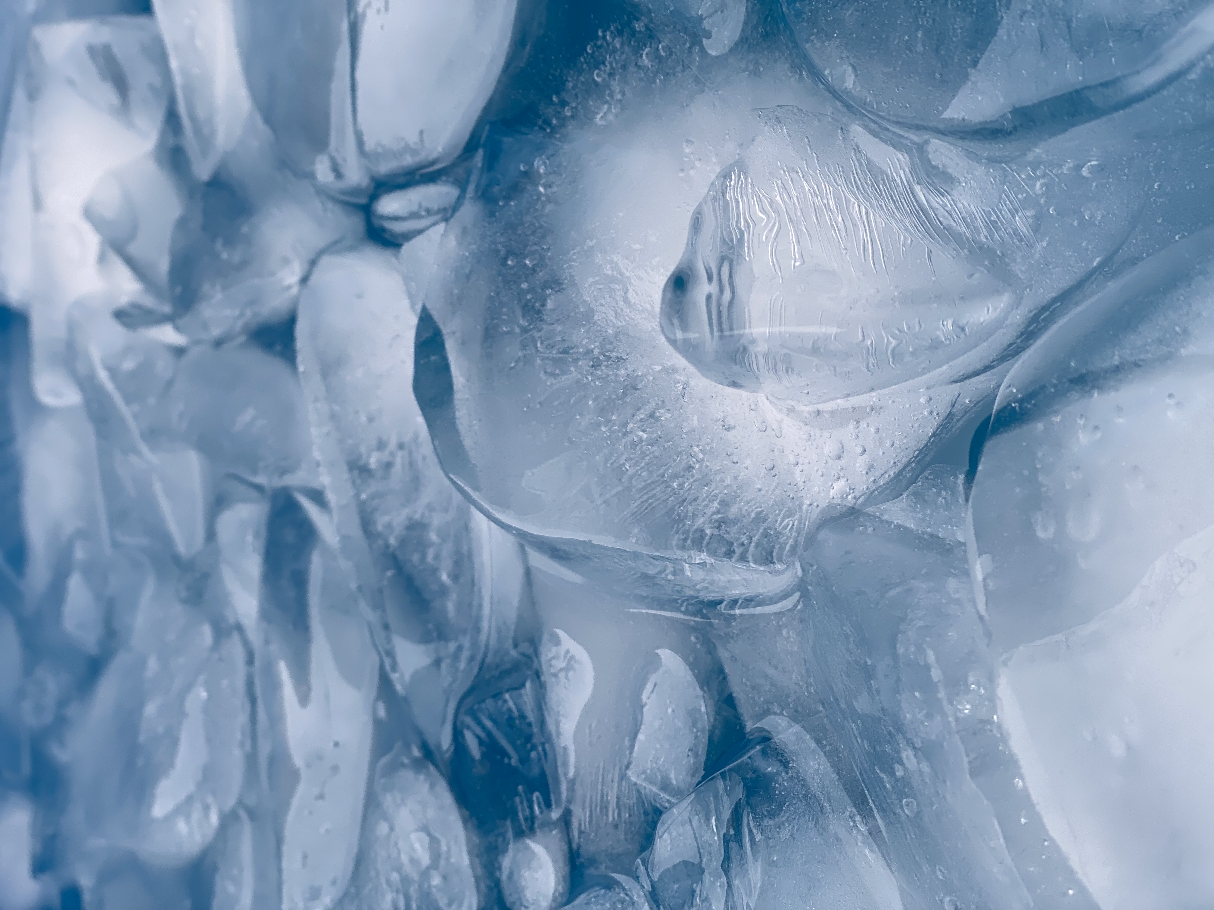 events - Eisbaden Eisbad Kälte Wim Hof Methode für Fortgeschrittene - Wim Hof Method Advanced Workshop