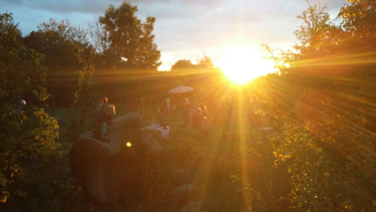 event: FÄLLT AUS! SommersonnenwendTanz und Ritual am 21.6. im wunderschönen Karamulisgarten