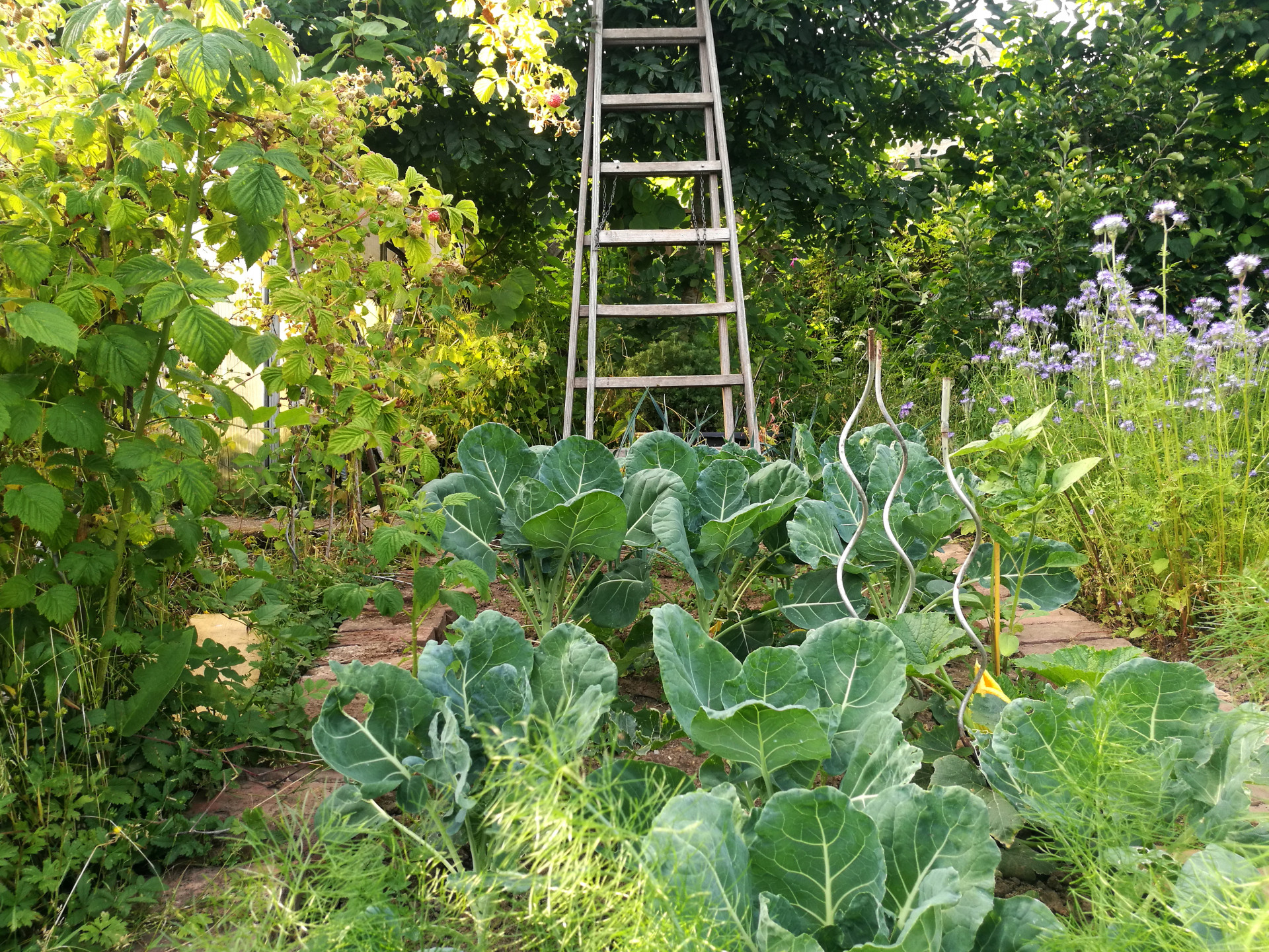 Member: integer me · Nicola Richter 