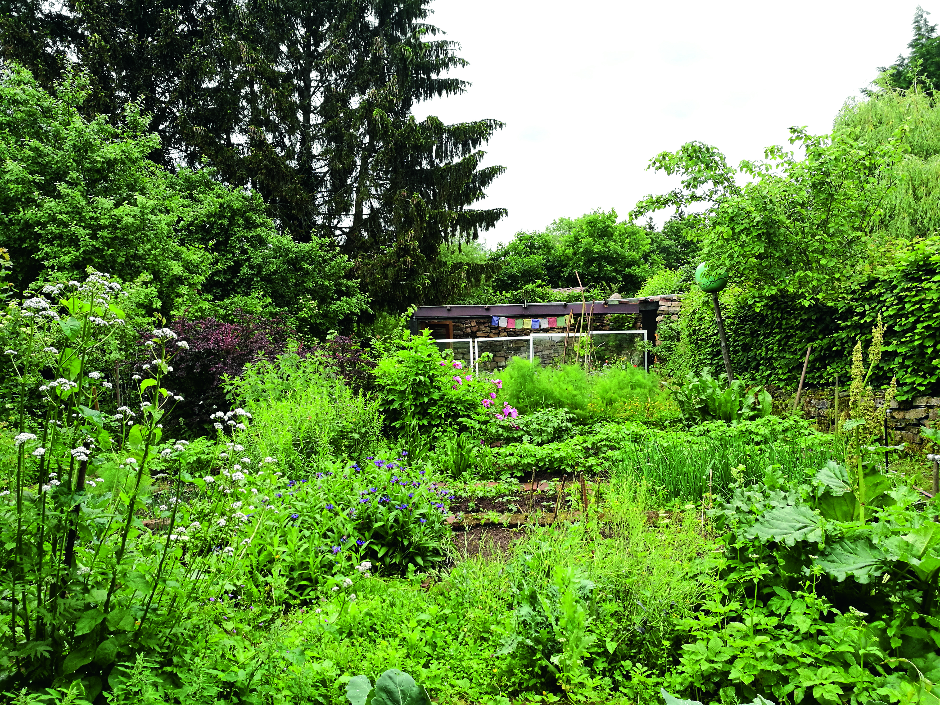 location: … unser Gemüsegarten - integer me · Appartement mit Yoga und Reiki · in der Eifel