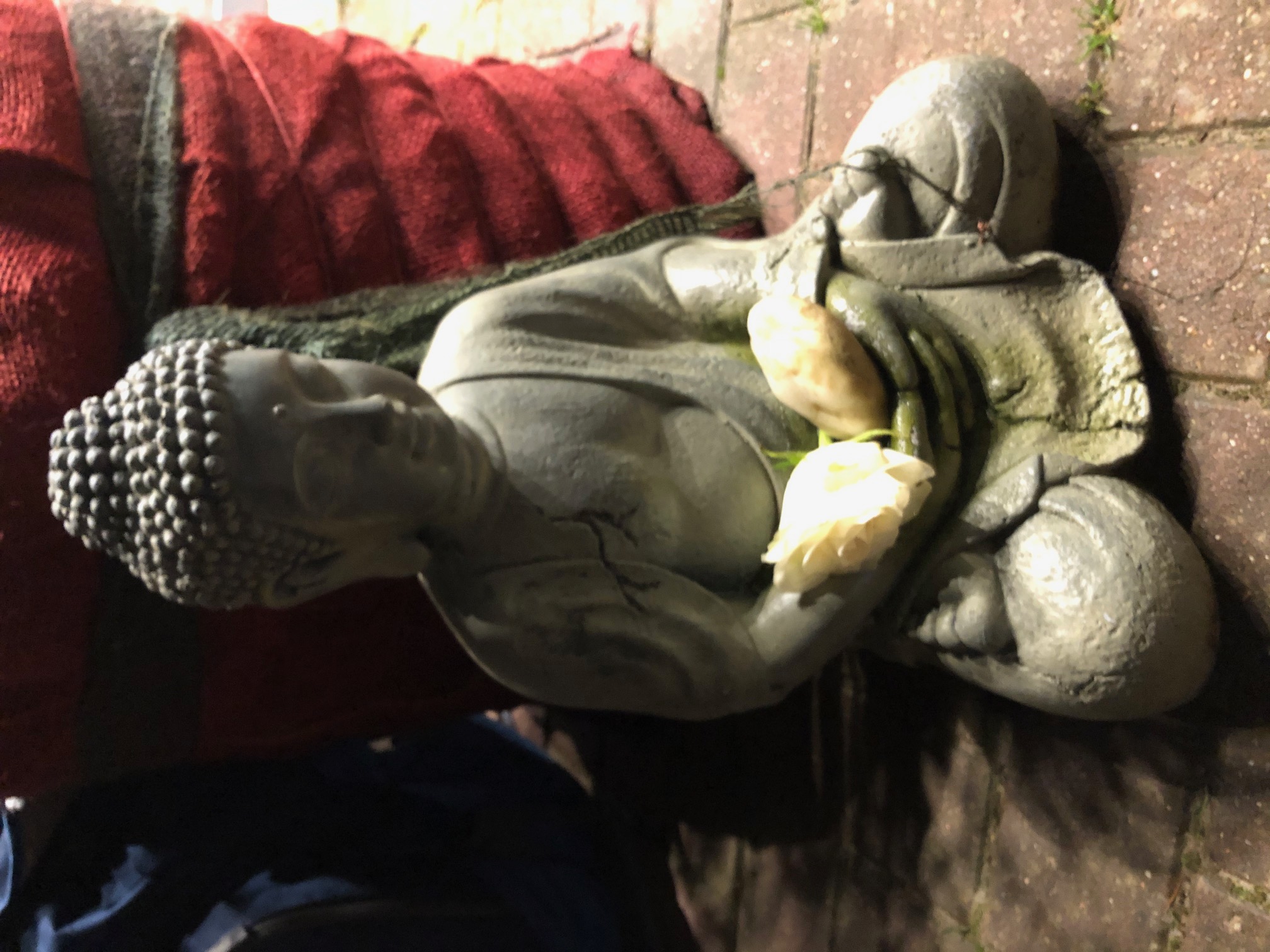 event: Meditations-Ausbildung in Köln