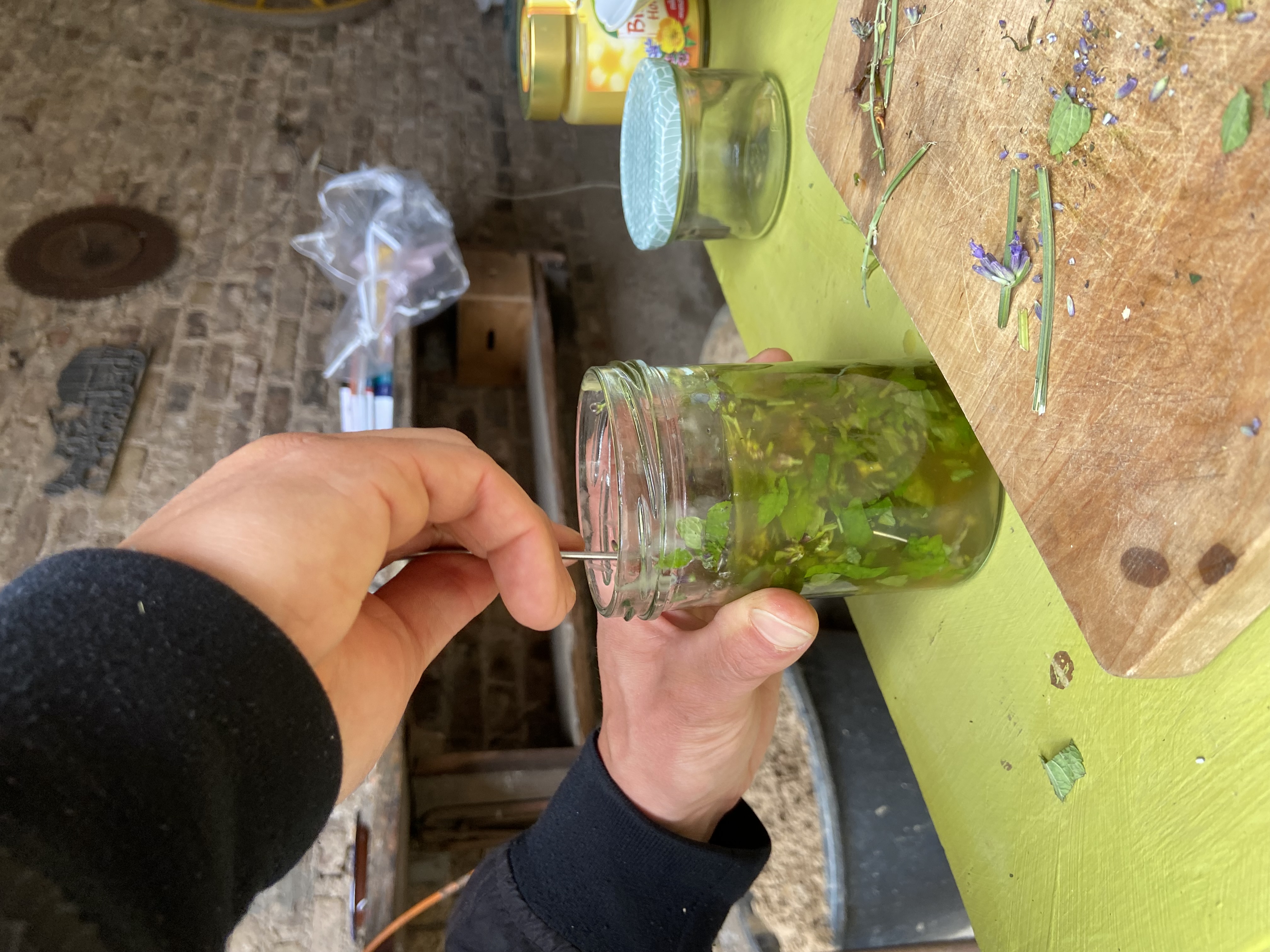 event: Gemeinsam pflücken, schneiden und rühren wir die Pflanzen zu Produkten für deine Gesundheit.  - Kräuter Workshop - Wilde Herbstapotheke