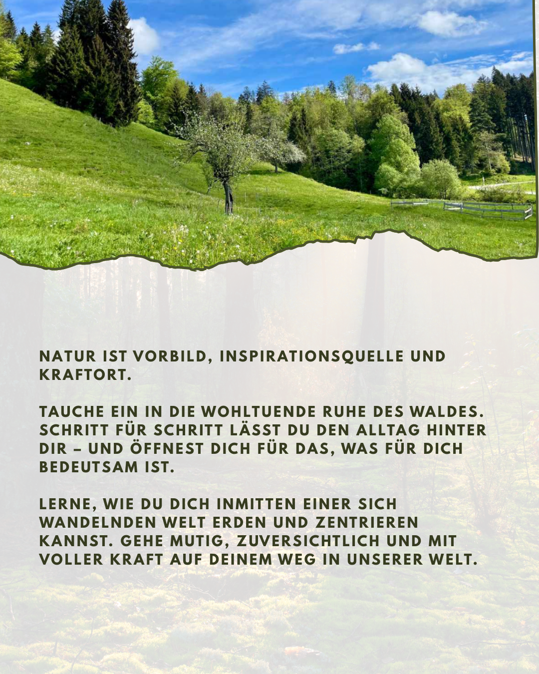 event: Bildungsurlaub: Draußen nach Innen kommen.