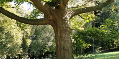 events - Köln Dellbrück - Der Baum von Freigehege