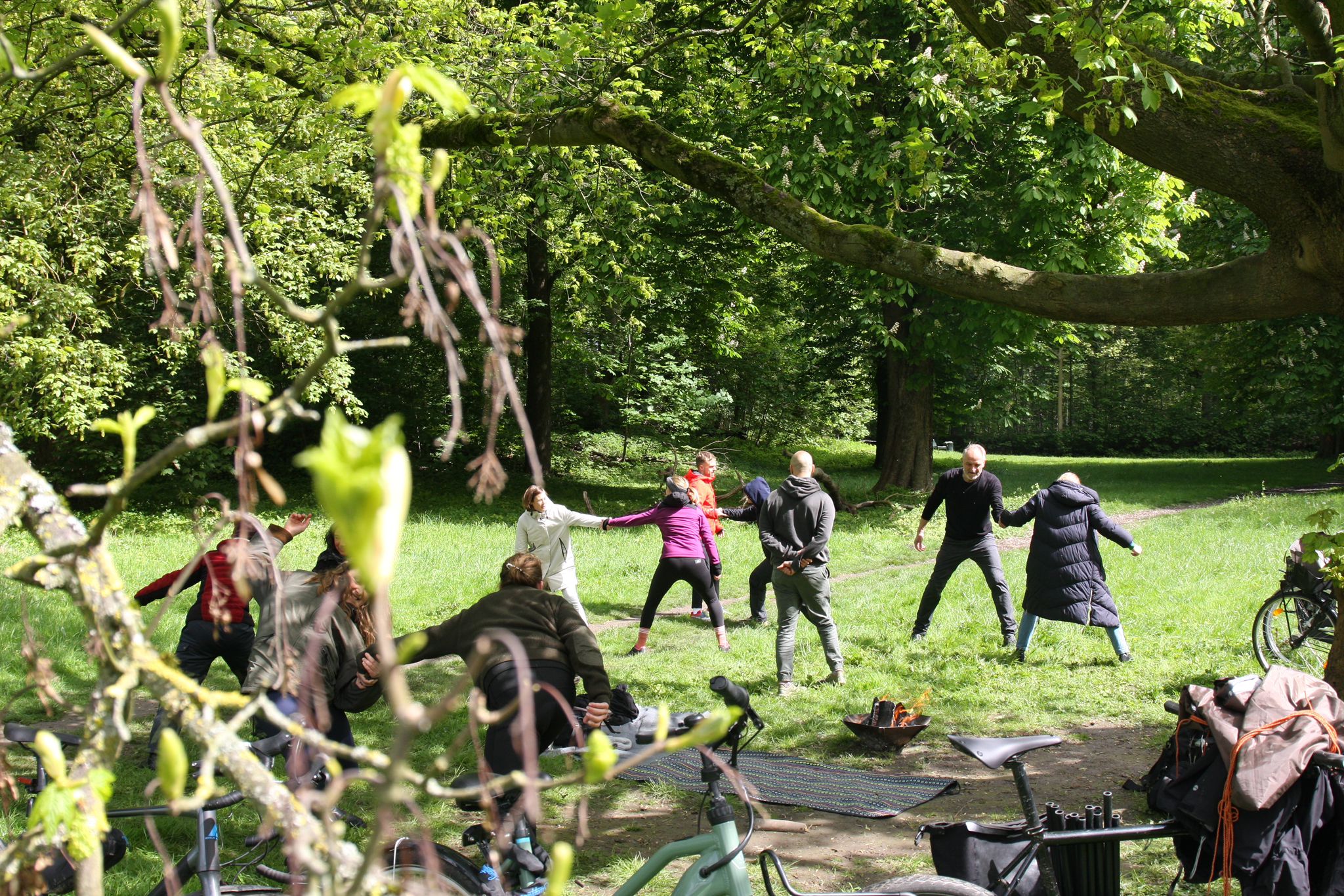 event: FREIGEHEGE Session am Baum 