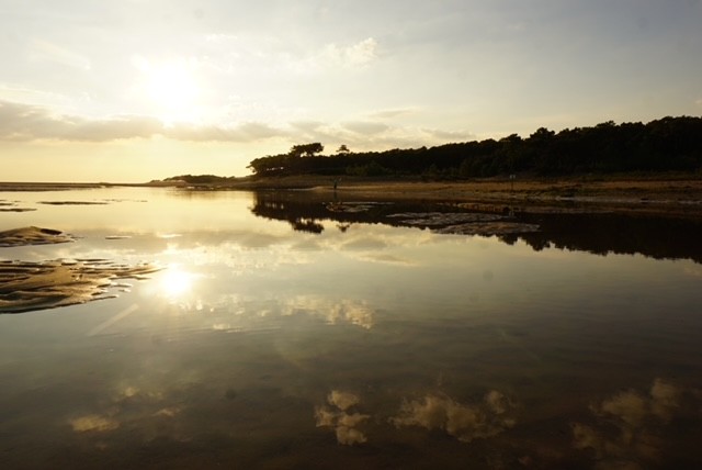 event: Die Welle ist das Meer - Getragen – Verbunden – Lebendig - Ein Seminar für Männer am Atlantik 