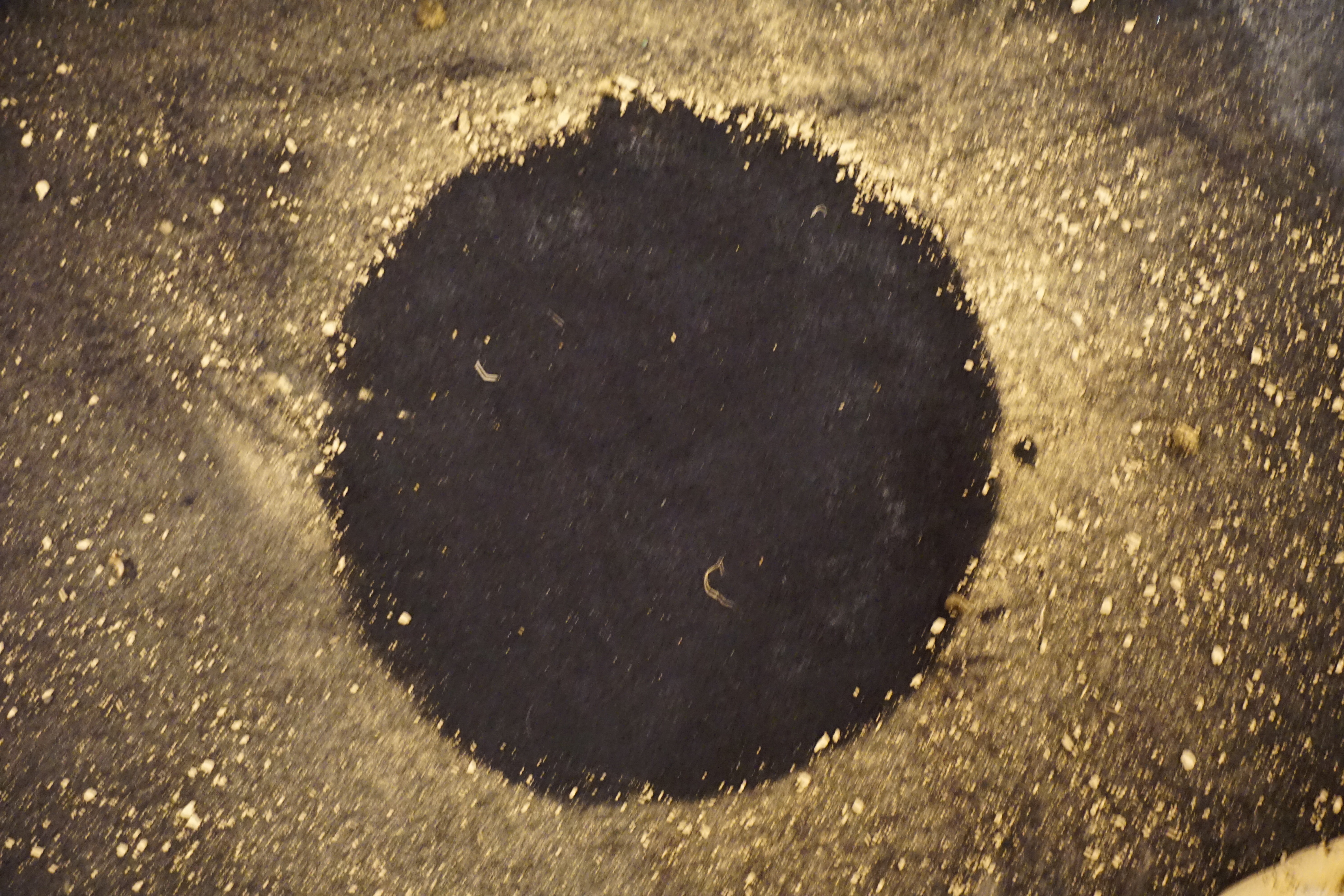 events - Kategorie: Gemeinschaft / Netzwerk / Kreis - Köln - Raum für Wachstum  - Ein Kreis für Männer auf dem Weg zu sich selbst