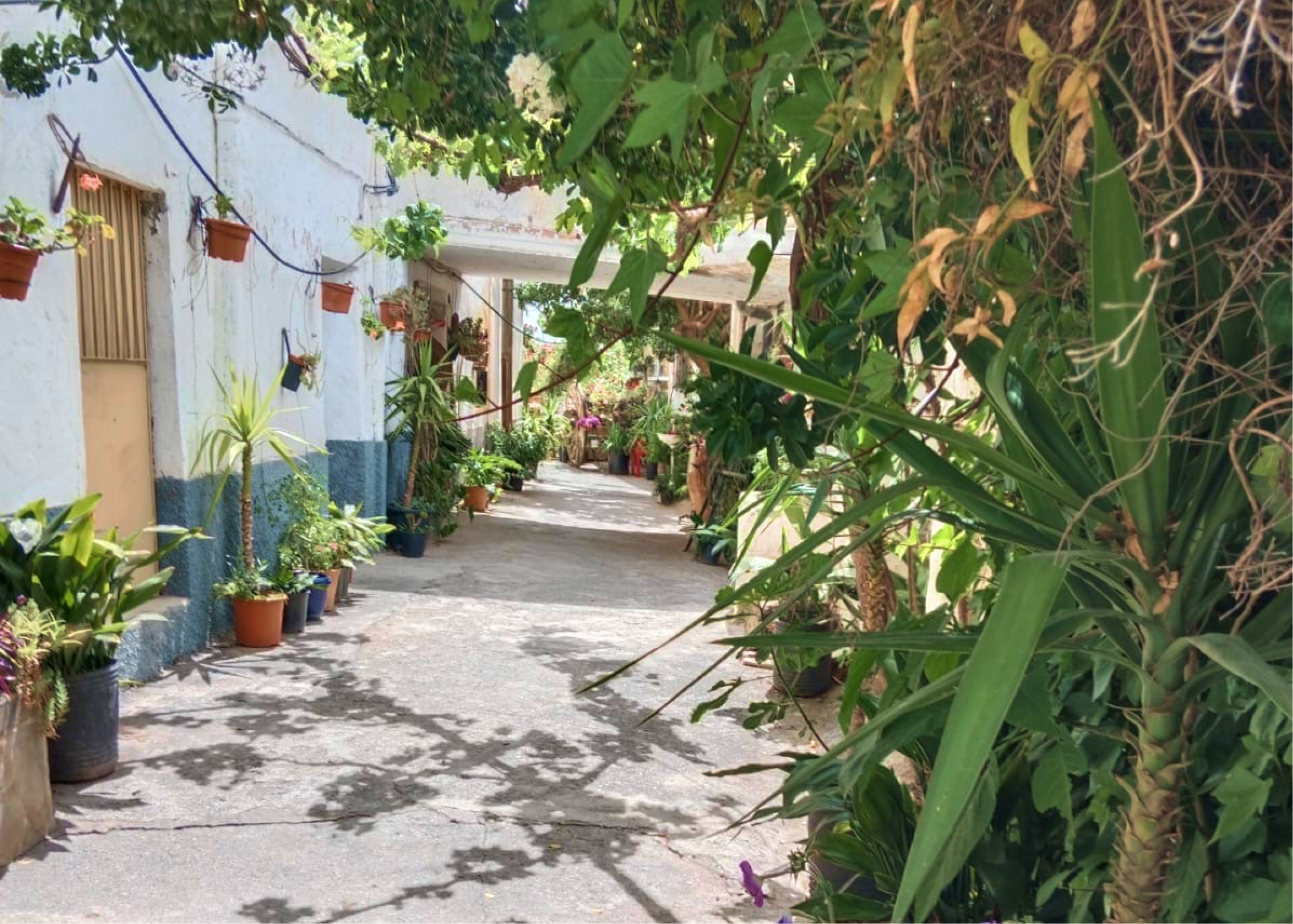 events - Granadas Berge – non-profit Selbsterfahrungscamp für eine achtsame Verbindung mit dir