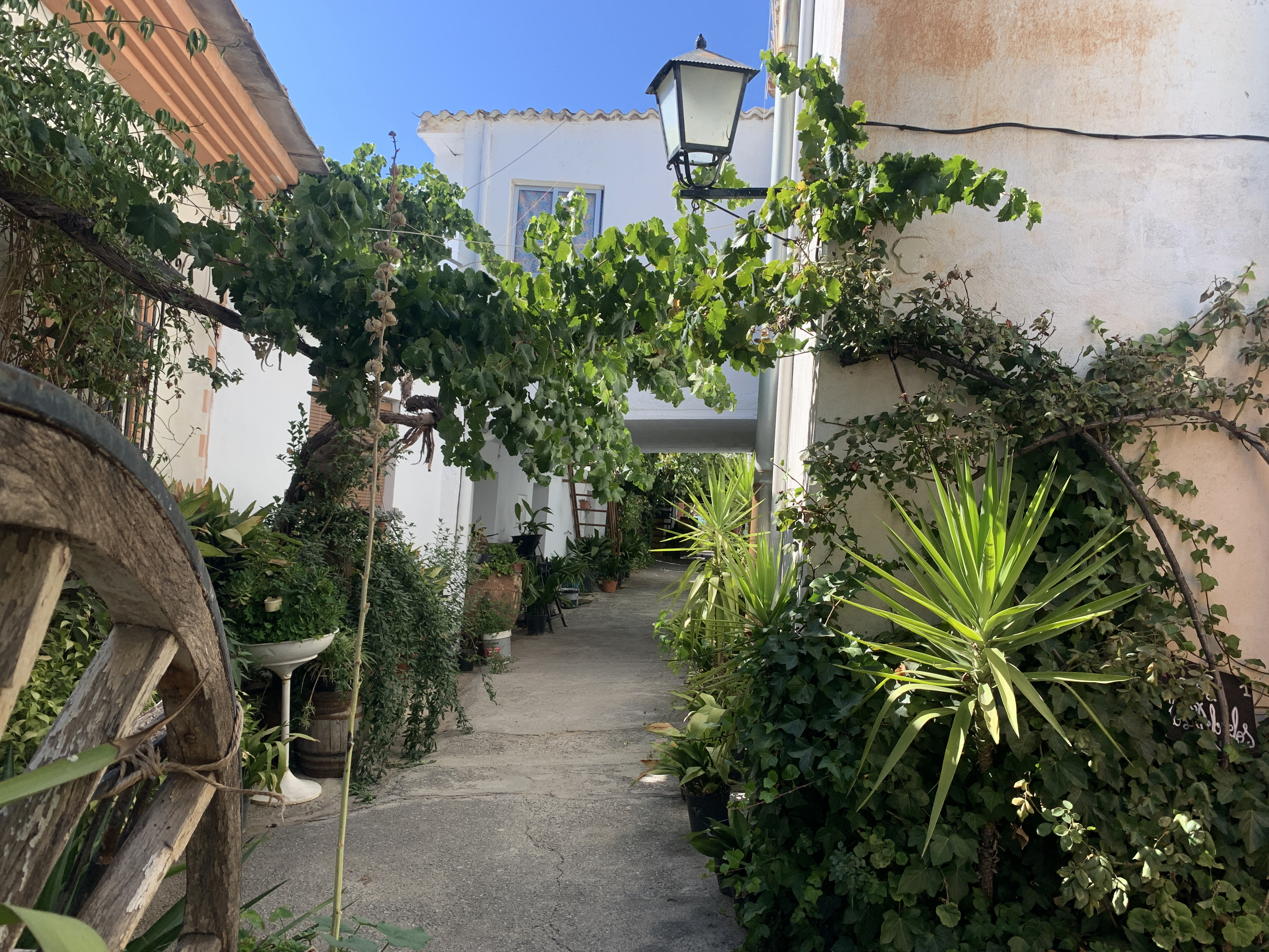 event: Granadas Berge – non-profit Selbsterfahrungscamp für eine achtsame Verbindung mit dir