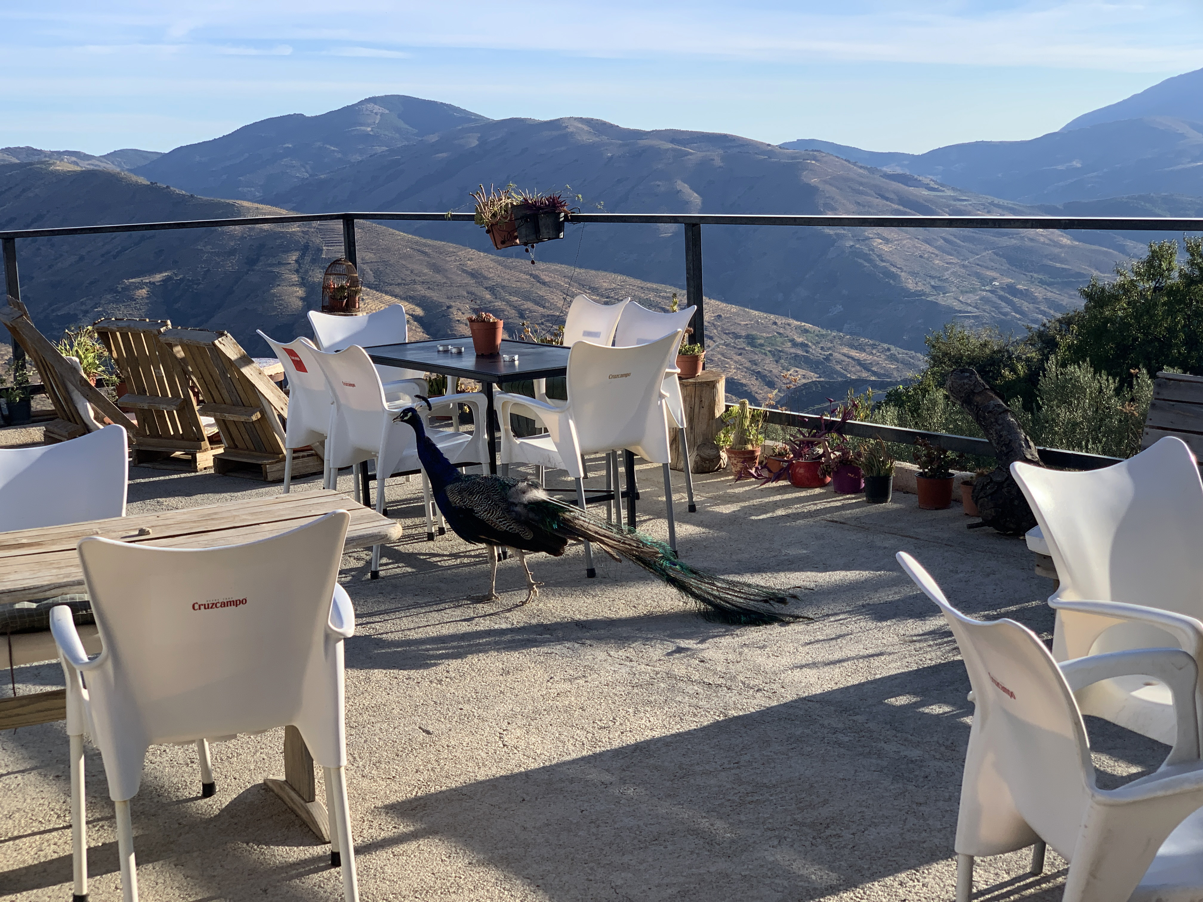 events - Kategorie: Natur - Granadas Berge – non-profit Selbsterfahrungscamp für eine achtsame Verbindung mit dir