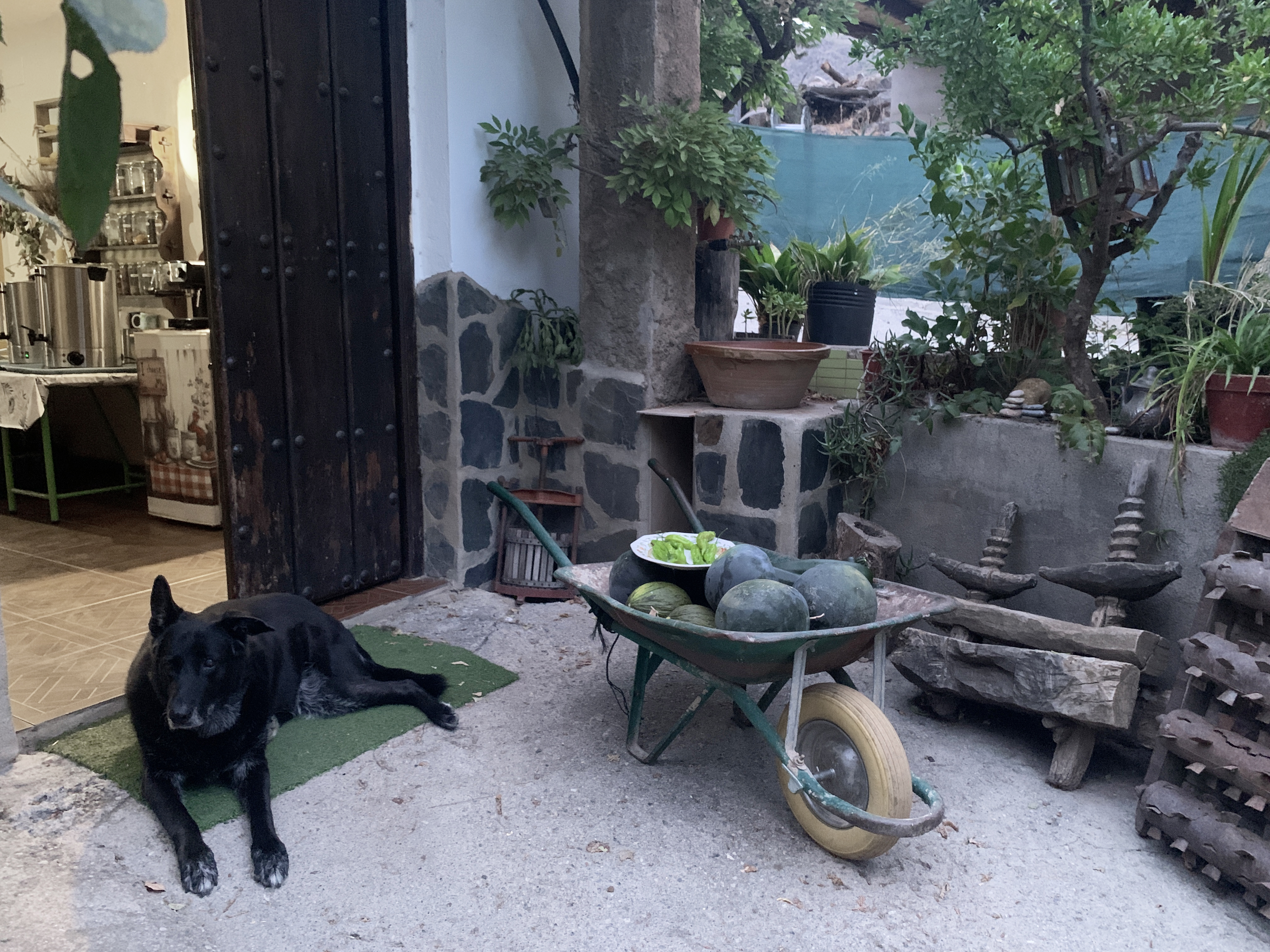 event: Granadas Berge – non-profit Selbsterfahrungscamp für eine achtsame Verbindung mit dir