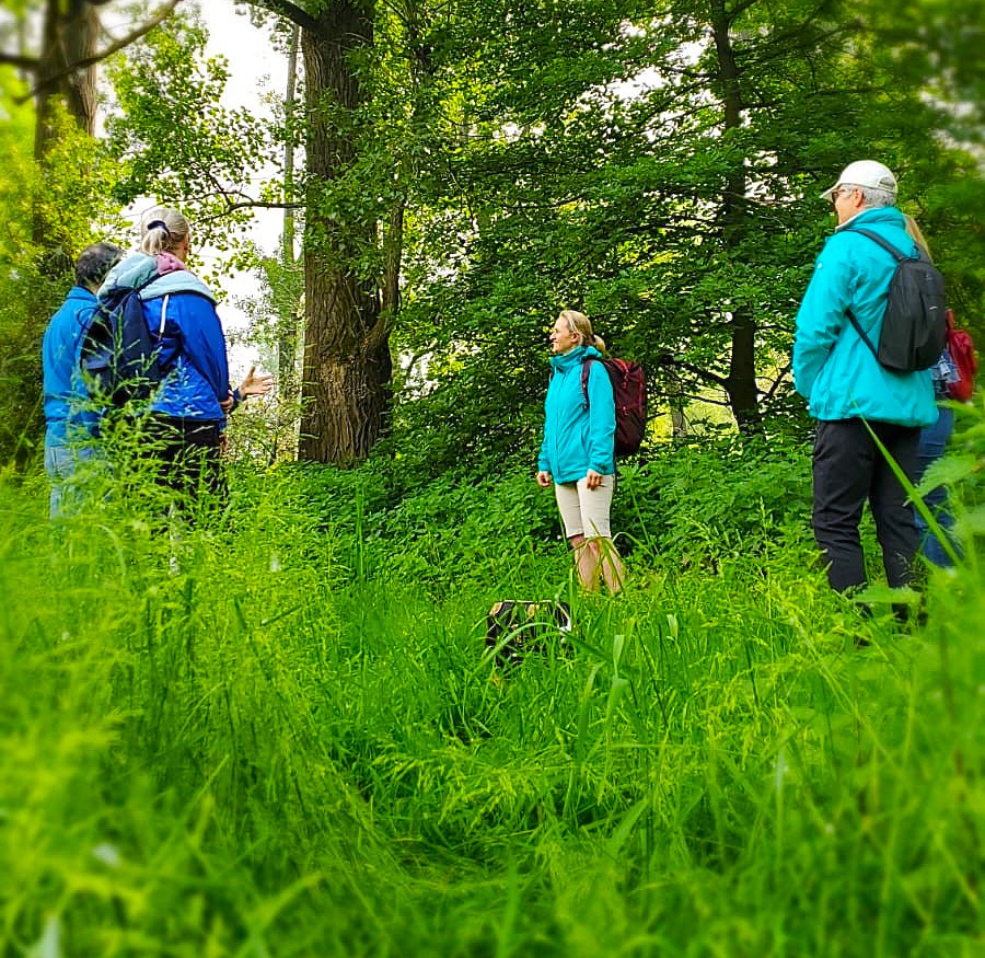 event: Raus ins Grüne: Waldbaden in Wiesbaden
