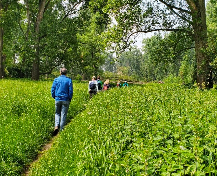 events - Kategorie: Gespräch / Austausch - Raus ins Grüne: Waldbaden in Dortmund