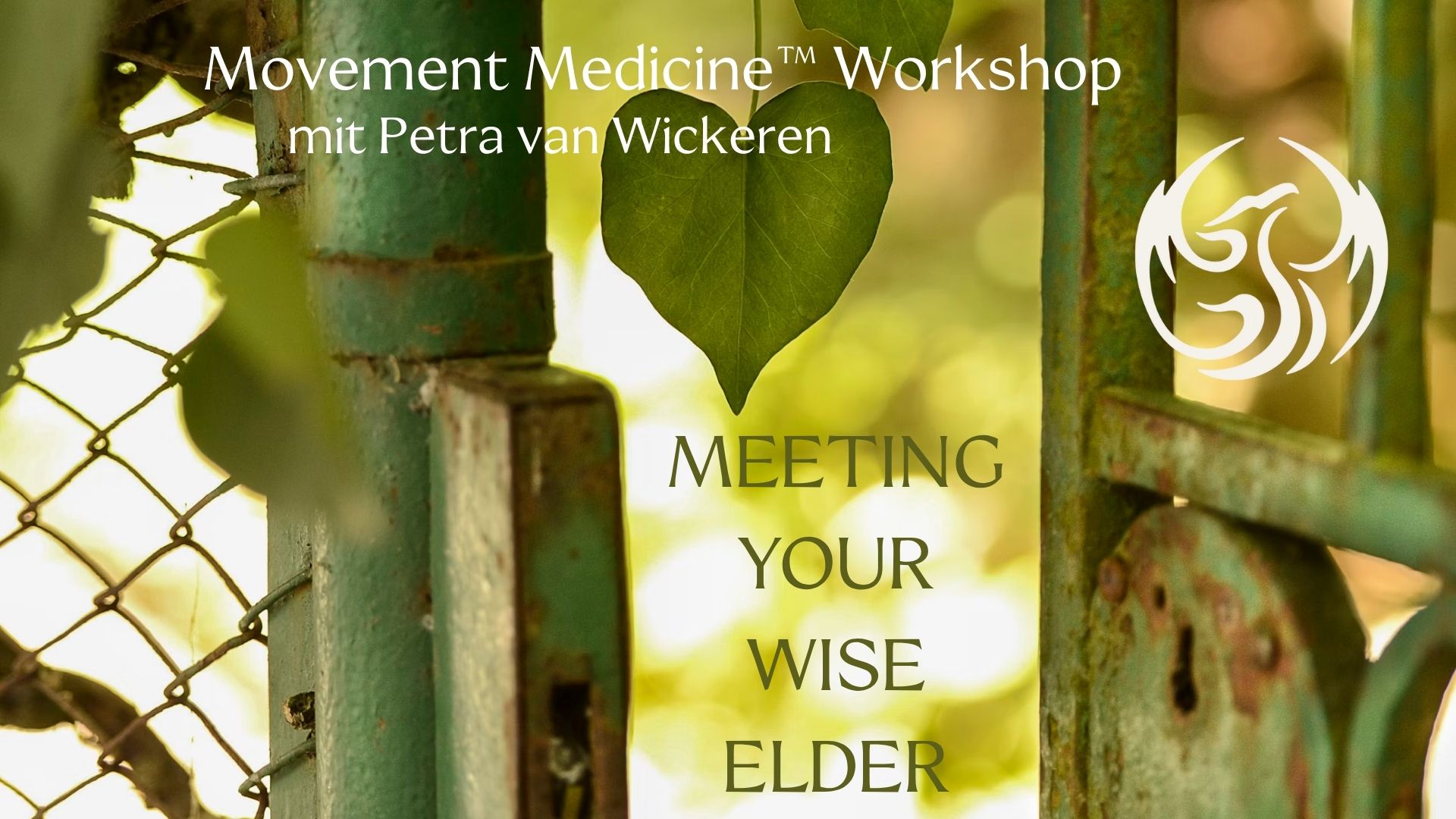 event: Meeting your Wise Elder