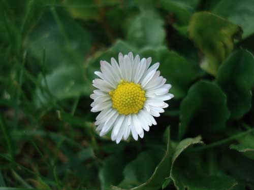 event: Kreatives Hatha-Yoga im Kölner Südpark