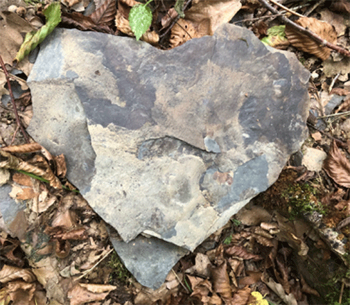 event: Kreatives Hatha-Yoga