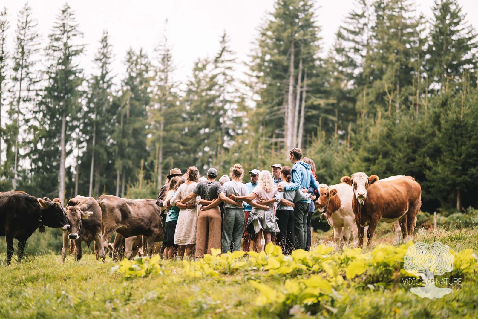 event: Earth Song Retreat 5.-10.8. im Ayurvedahof Engel mit Amelie und Flo