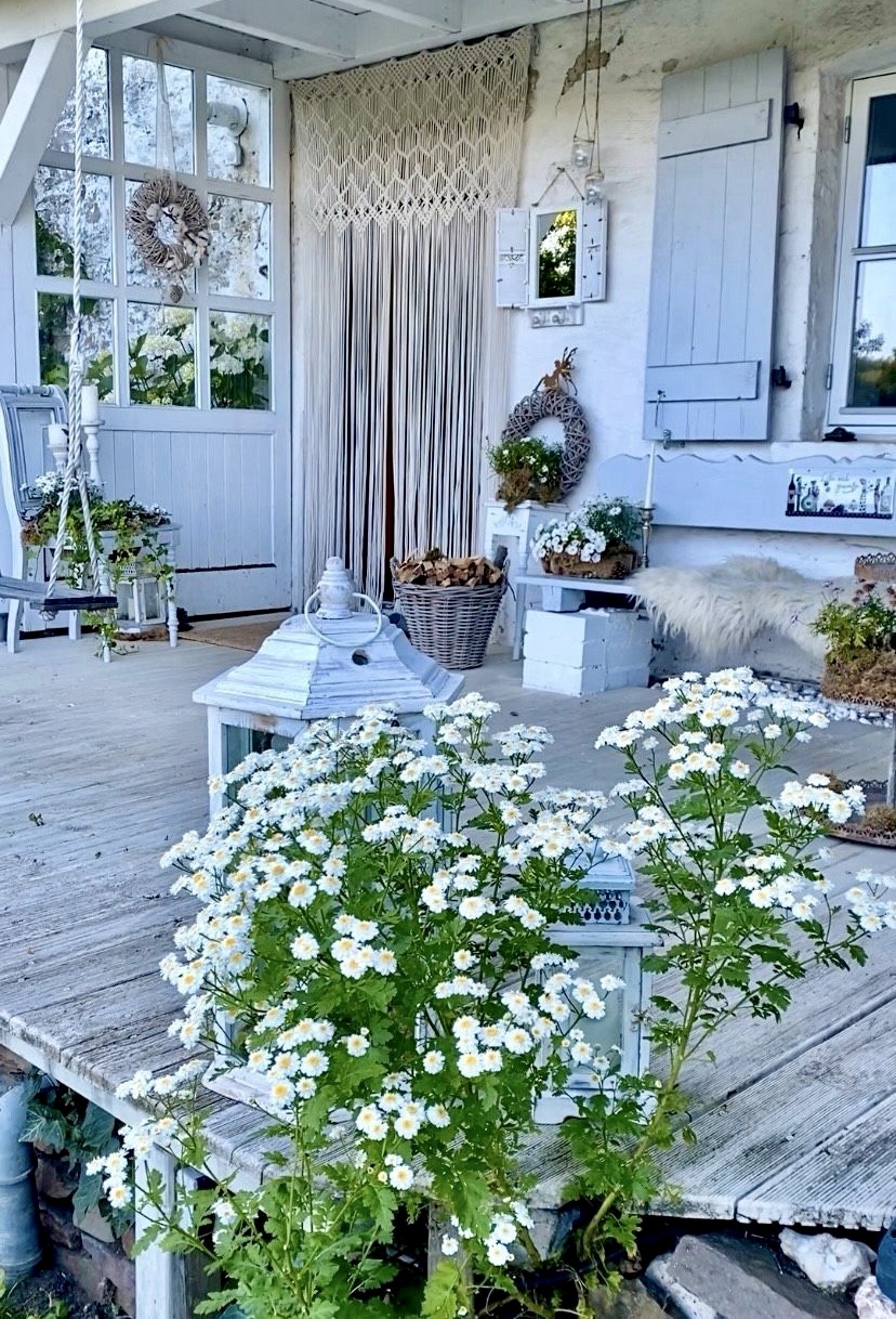 event: Zeichen der Stille – Kalligraphie und der leise Ausdruck des Selbst“