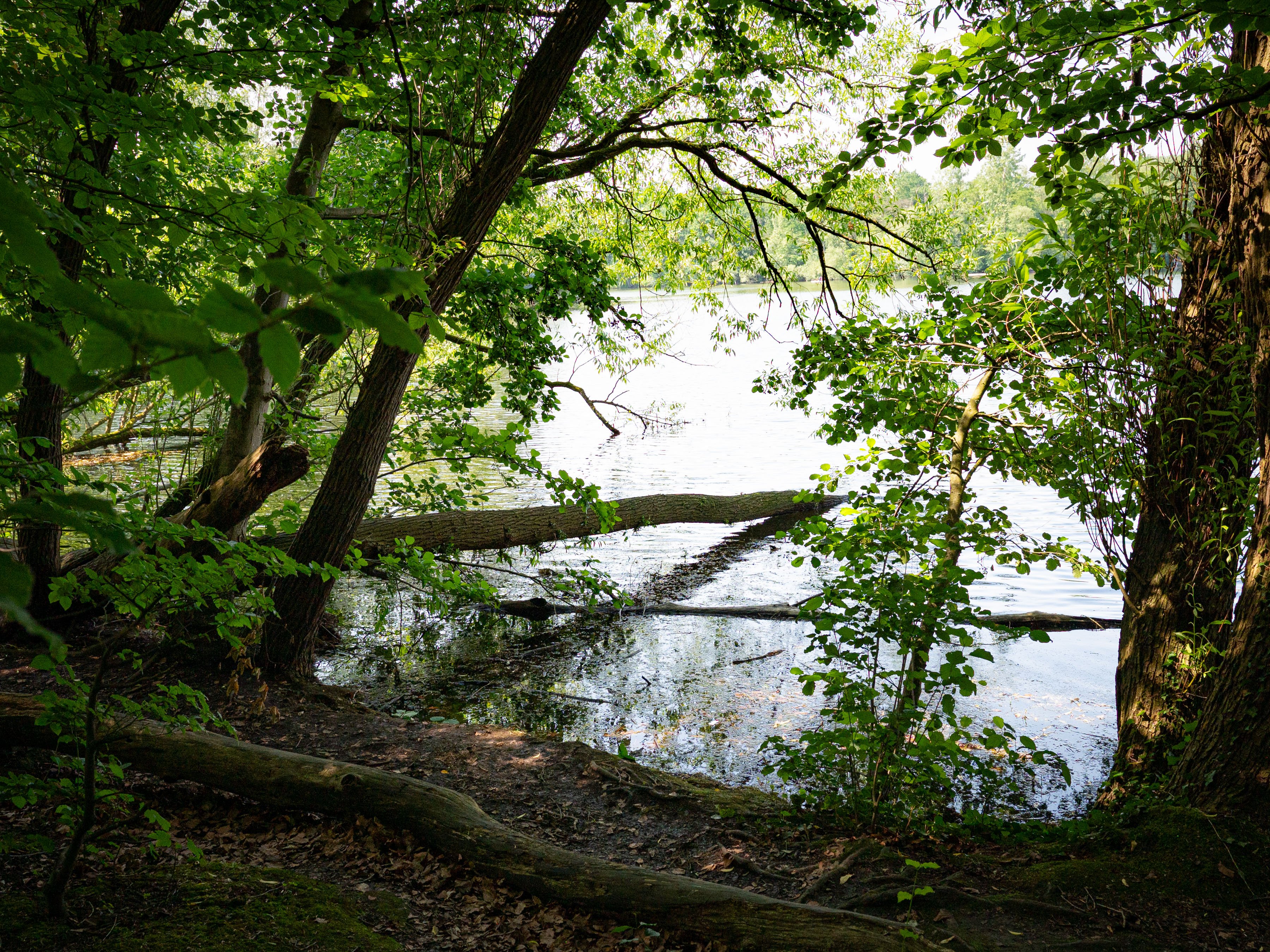 event: Soundhealing in der Jurte