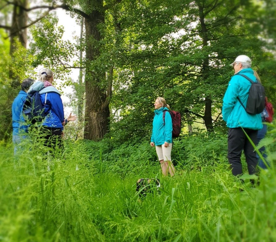 events - Kategorie: Gespräch / Austausch - Köln Innenstadt (Nähe Hauptbahnhof und Eigelstein) - Raus ins Grüne: Waldbaden in Köln/Bonn