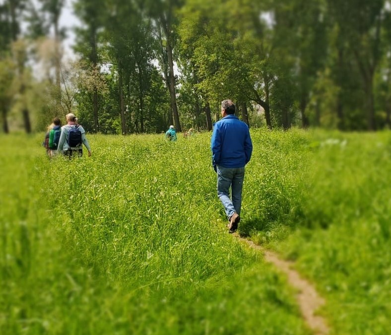 events - Kategorie: Gespräch / Austausch - Köln Innenstadt (Nähe Hauptbahnhof und Eigelstein) - Raus ins Grüne: Waldbaden in Köln/Bonn