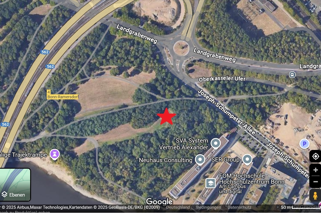 event: Ecstatic Dance Bonn