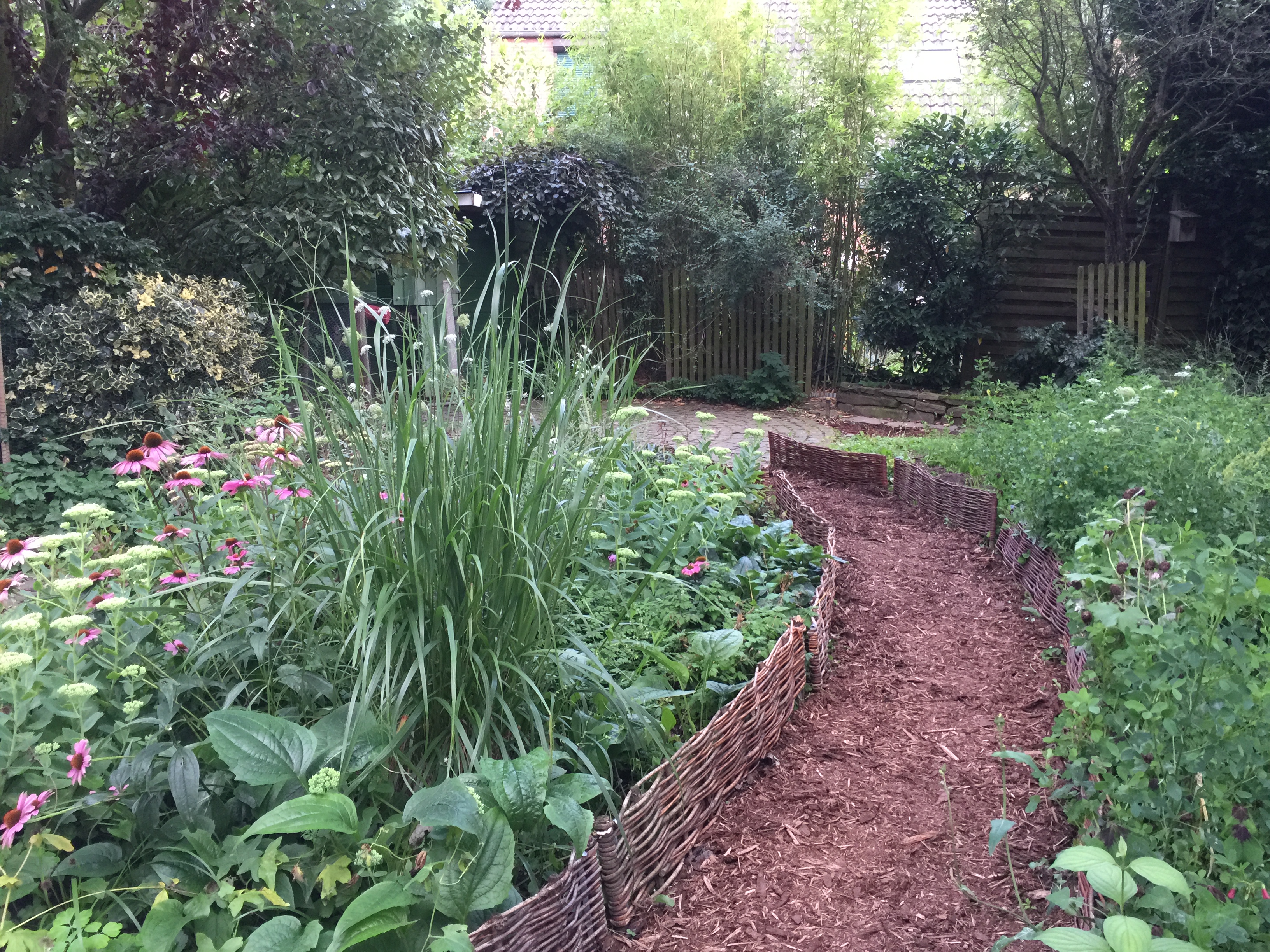 events - Köln Nippes - Soraya Müller | Coaching - in Präsenz und Online