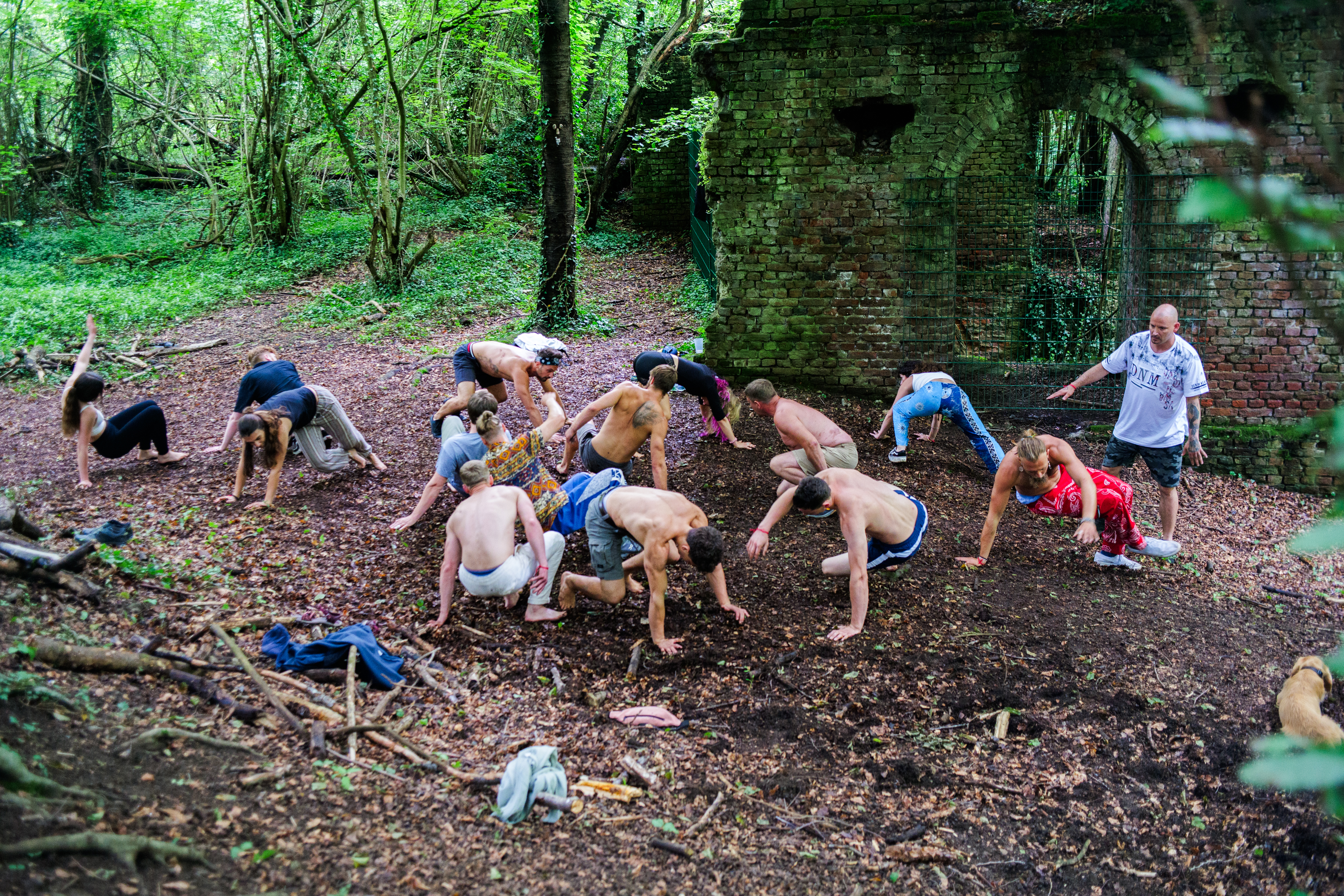 event: 🐒 Animal Moves / Playfight WORKSHOP Outdoor