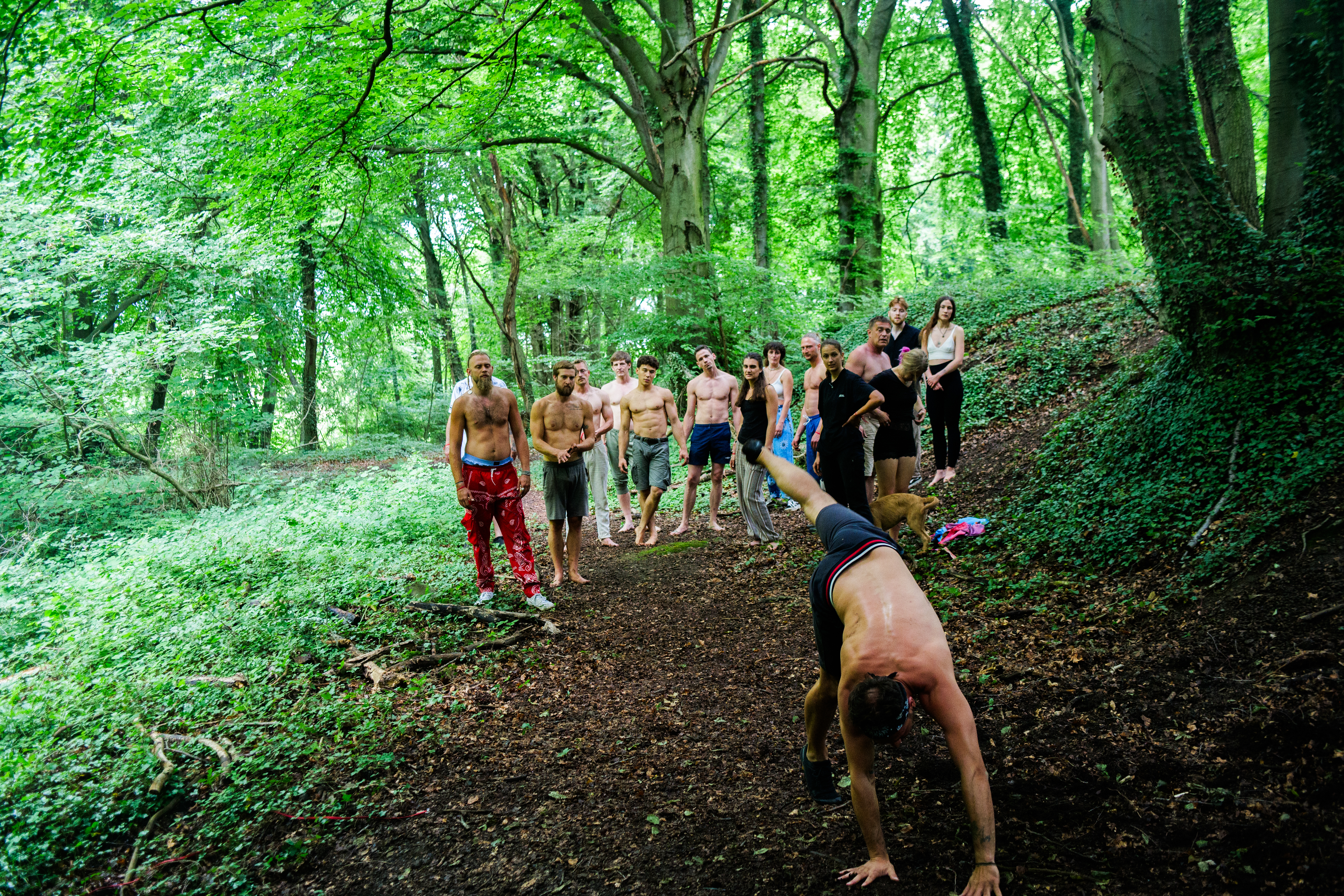 event: 🐒 Animal Moves / Playfight WORKSHOP Outdoor