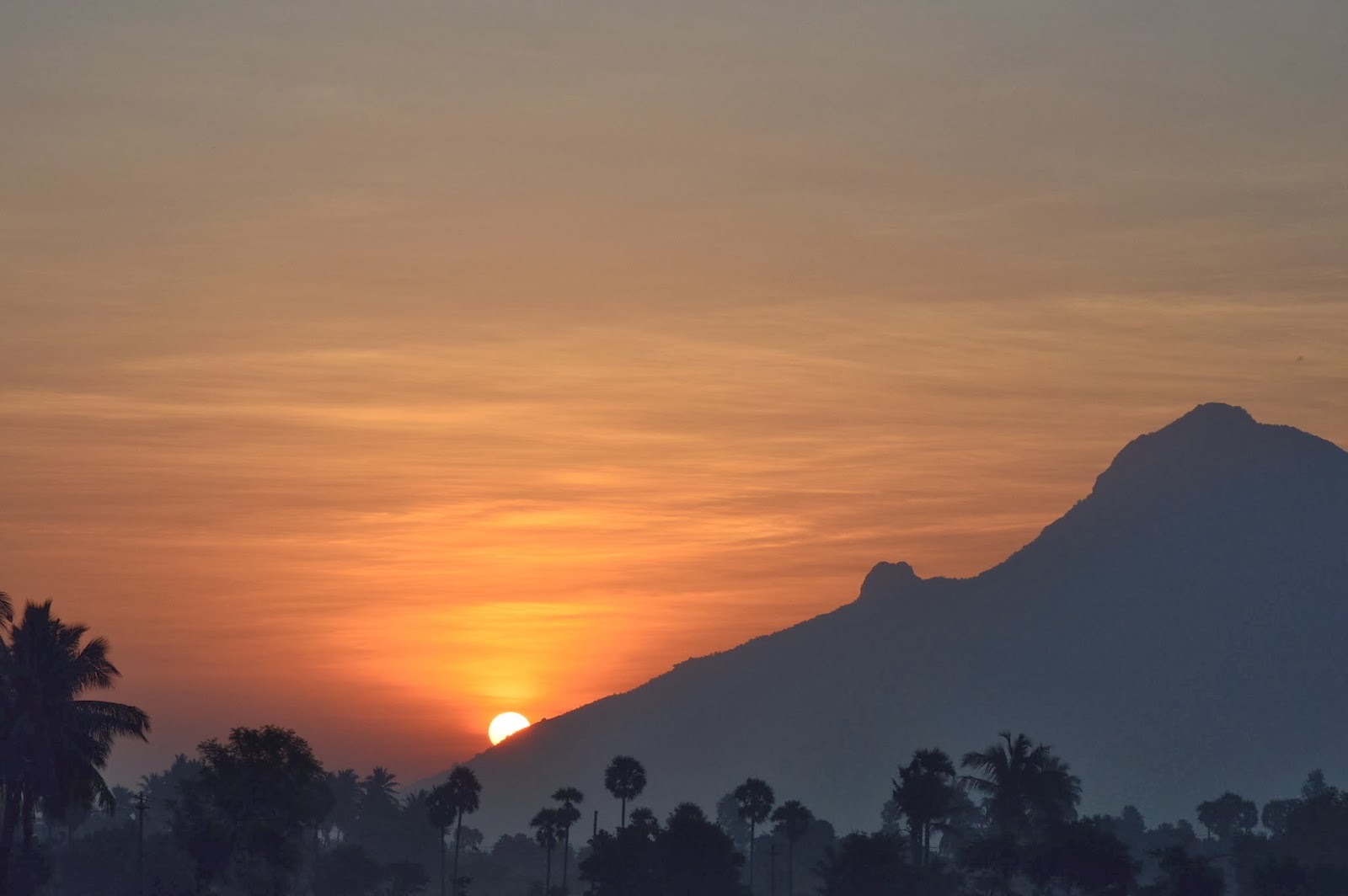 event: Januar 2026 I Indien Retreat I Meditation & Satsang I John David I Arunachala I Ramana Maharshi