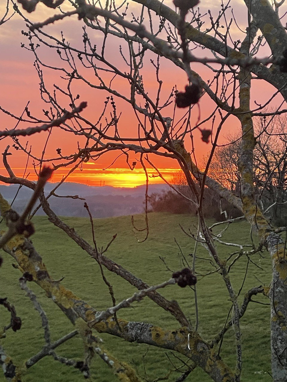 events - Räumlichkeiten: Küche - Hellenthal - WIT 13