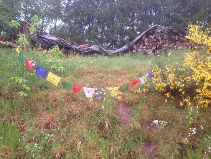 events - Räumlichkeiten: Küche - Hellenthal - WIT 13