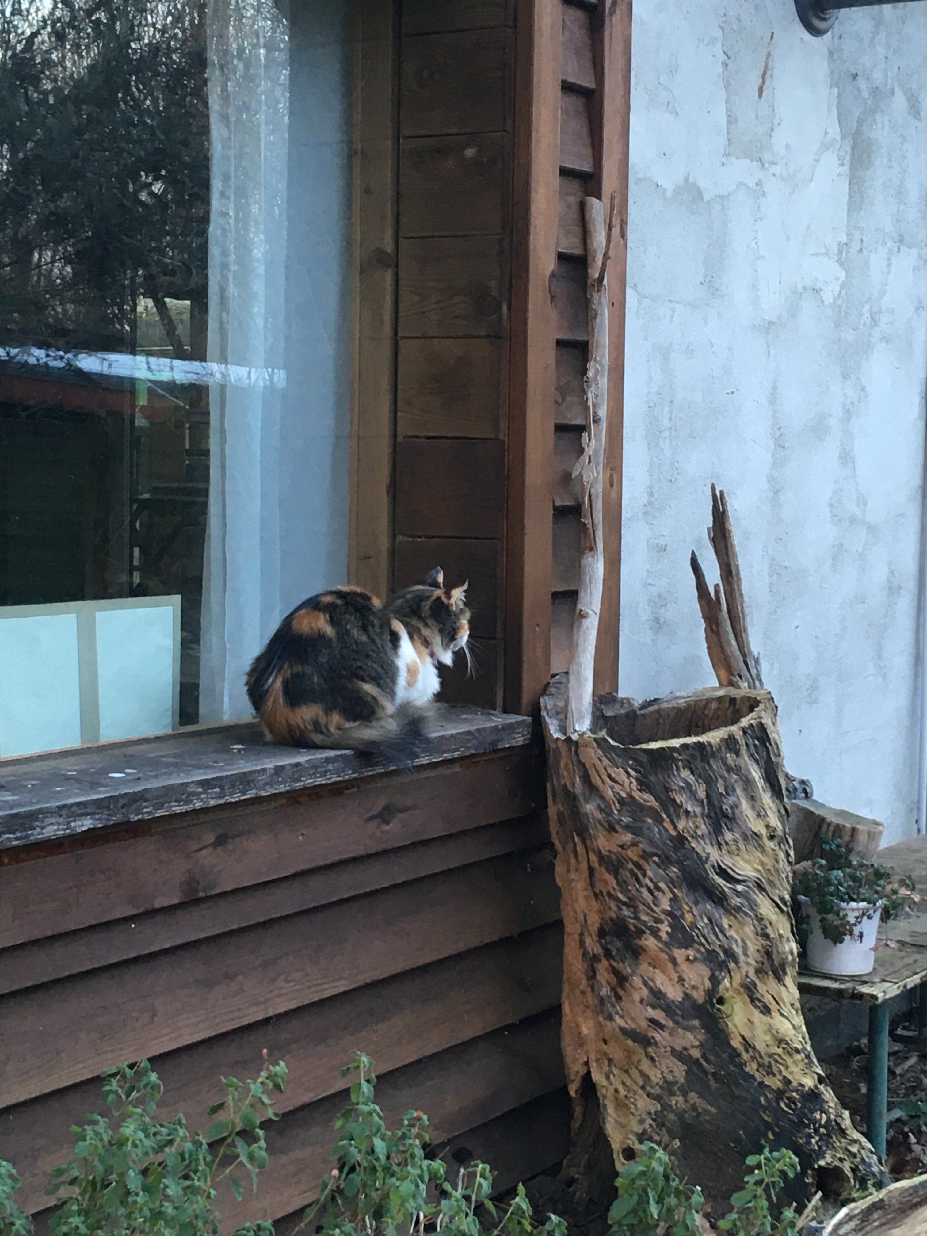 location: Mila - Laramie Ranch