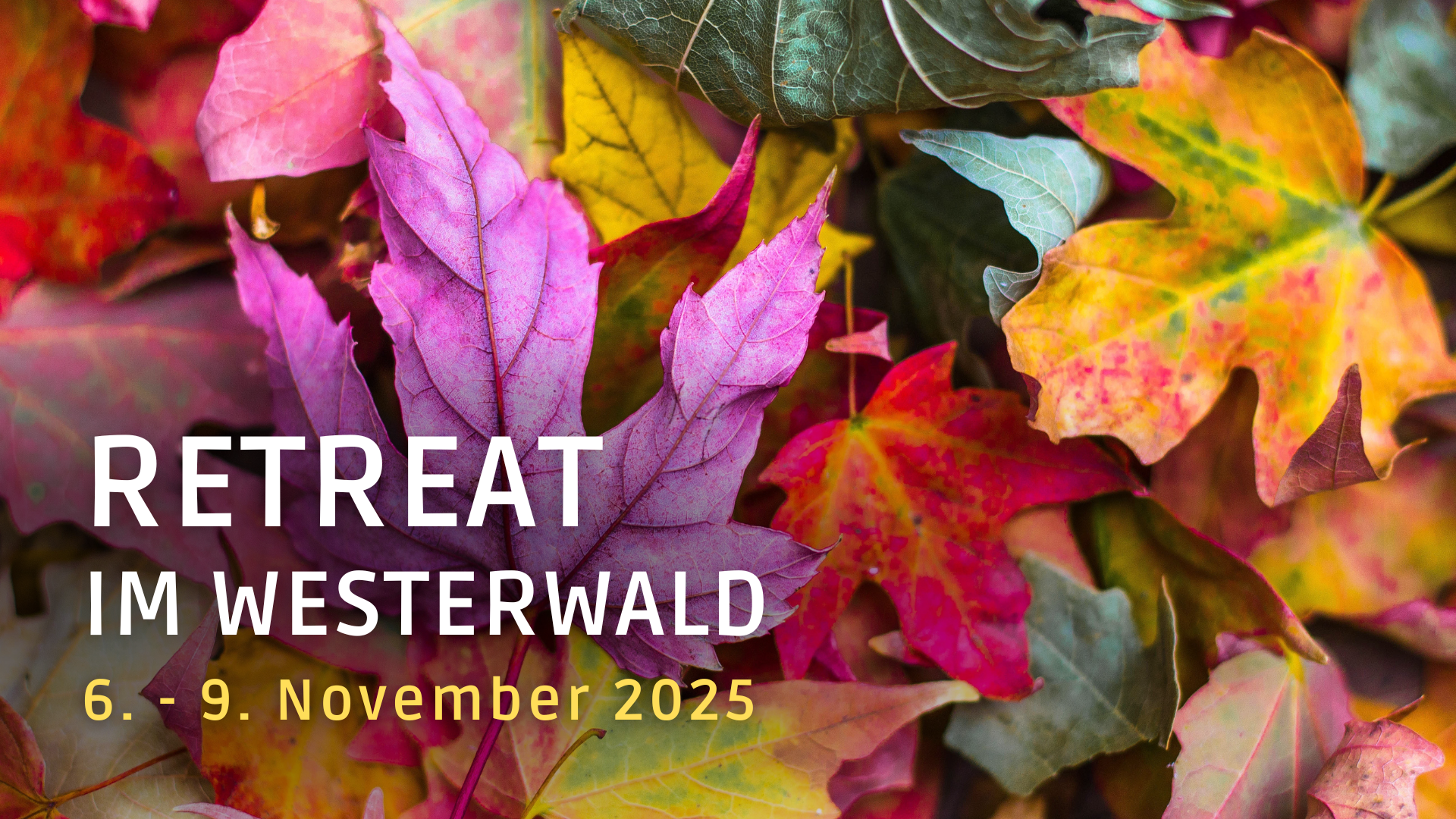 event: Die Kraft des Atems / Breathwork-Retreat