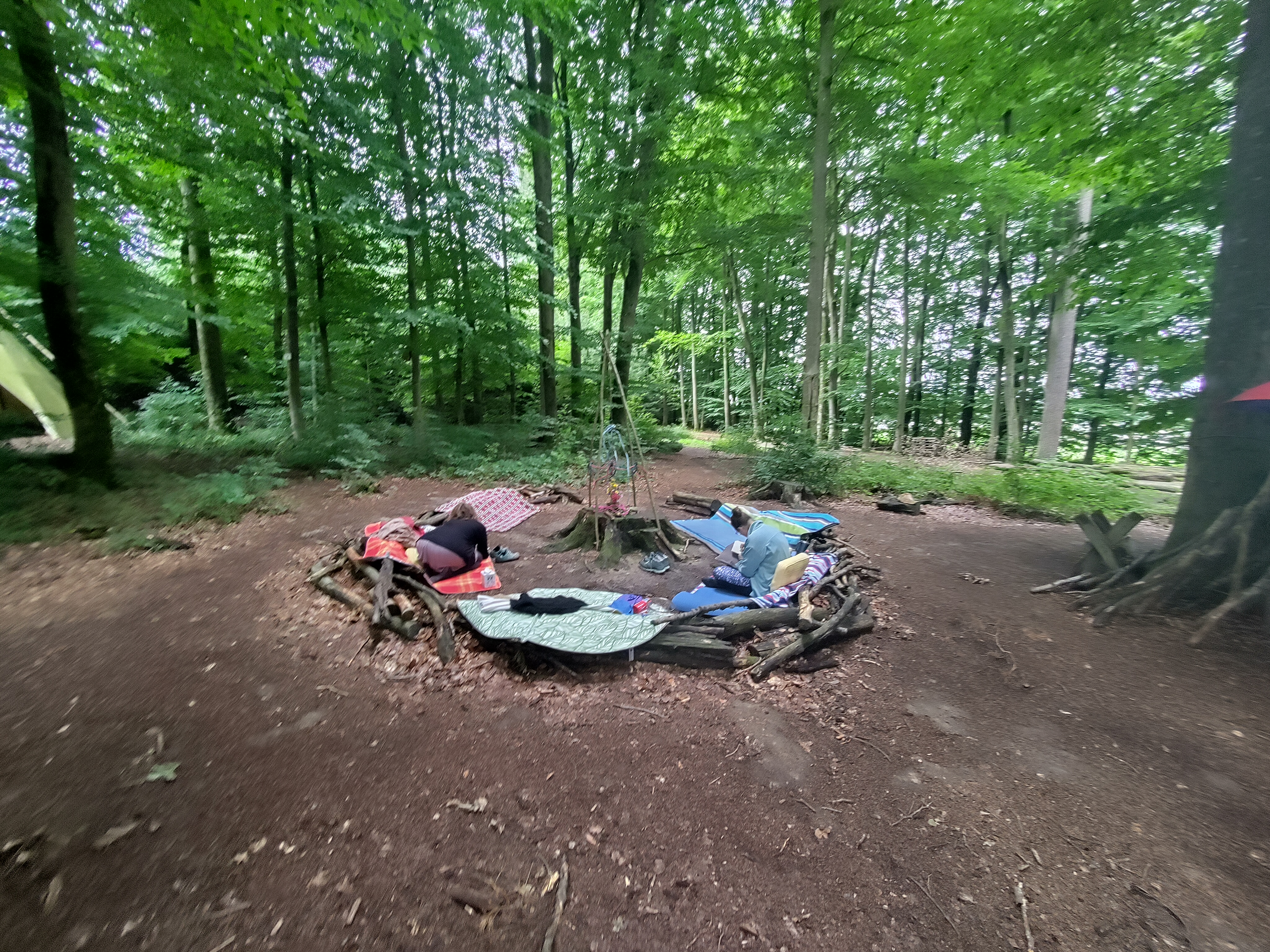 Member: Waldplatz für Outdoor-Treffen - Raum Zeit Du