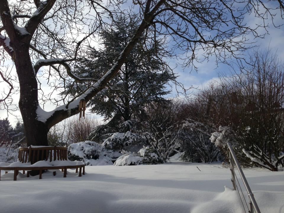 event: Der Garten ist im Winter besonders schön - und dient nach der Sauna wunderbar zur Abkühlung. - Eifel-Yogaretreat für Frauen - Dein Neustart in 2026!
