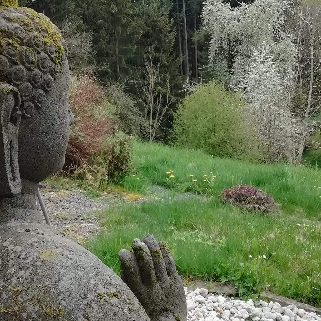 events - Kategorien: Selbsterfahrung - Rheinland-Pfalz - Buddha Tal der Stille Zenklausen - Zenklausen