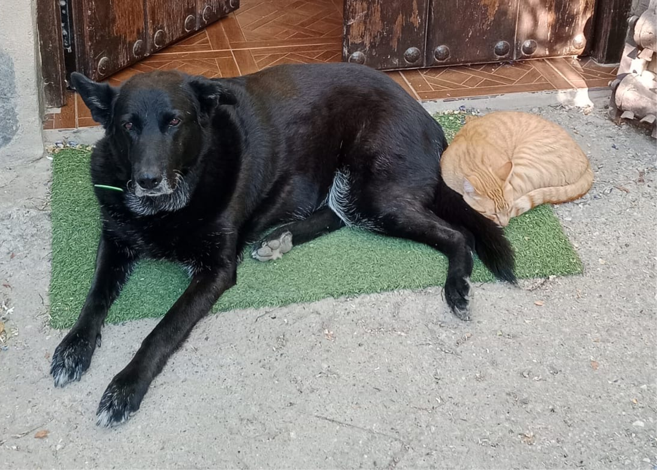 location: Cortijo Casería del Mercado