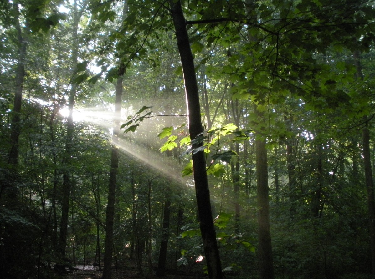 events - Kategorie: Kontakt - Gummersbach - Von Höhen und Tiefen - Eine elementare Luftzeit für Männer im Sommer