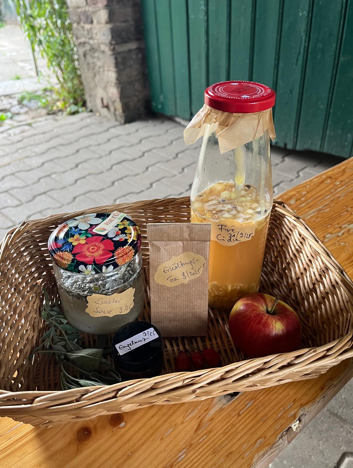 events - Sankt Augustin - Wilde Kräuterwerkstatt Frühlingserwachen