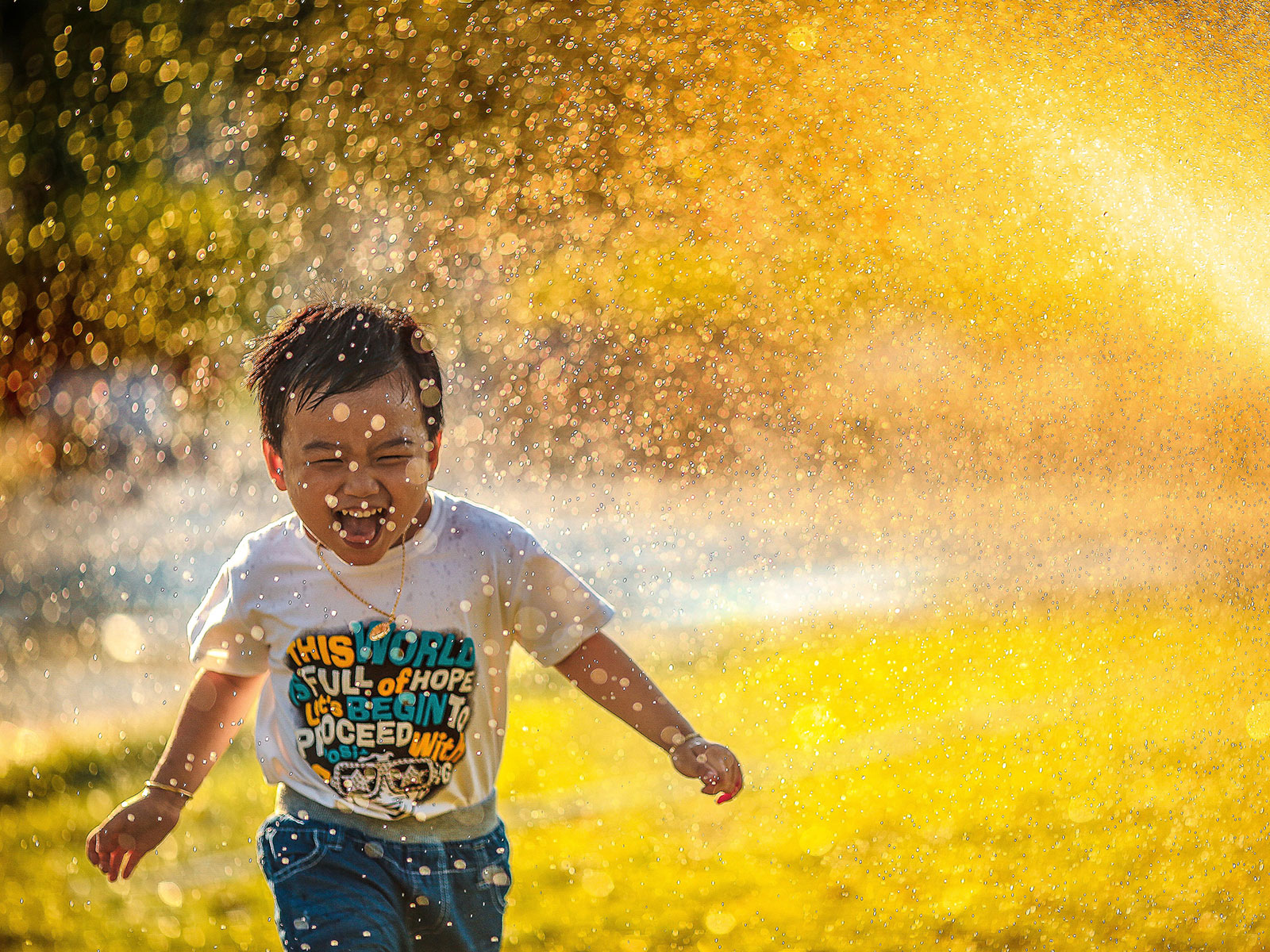 events - Kategorie: Gespräch / Austausch - Köln - UTA_Primärtherapie - Einführung in die Primärtherapie