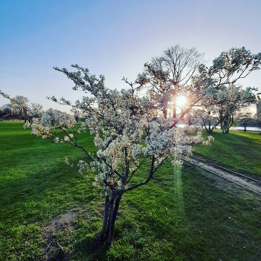 events - Bergisch Gladbach - Systemische Therapie
