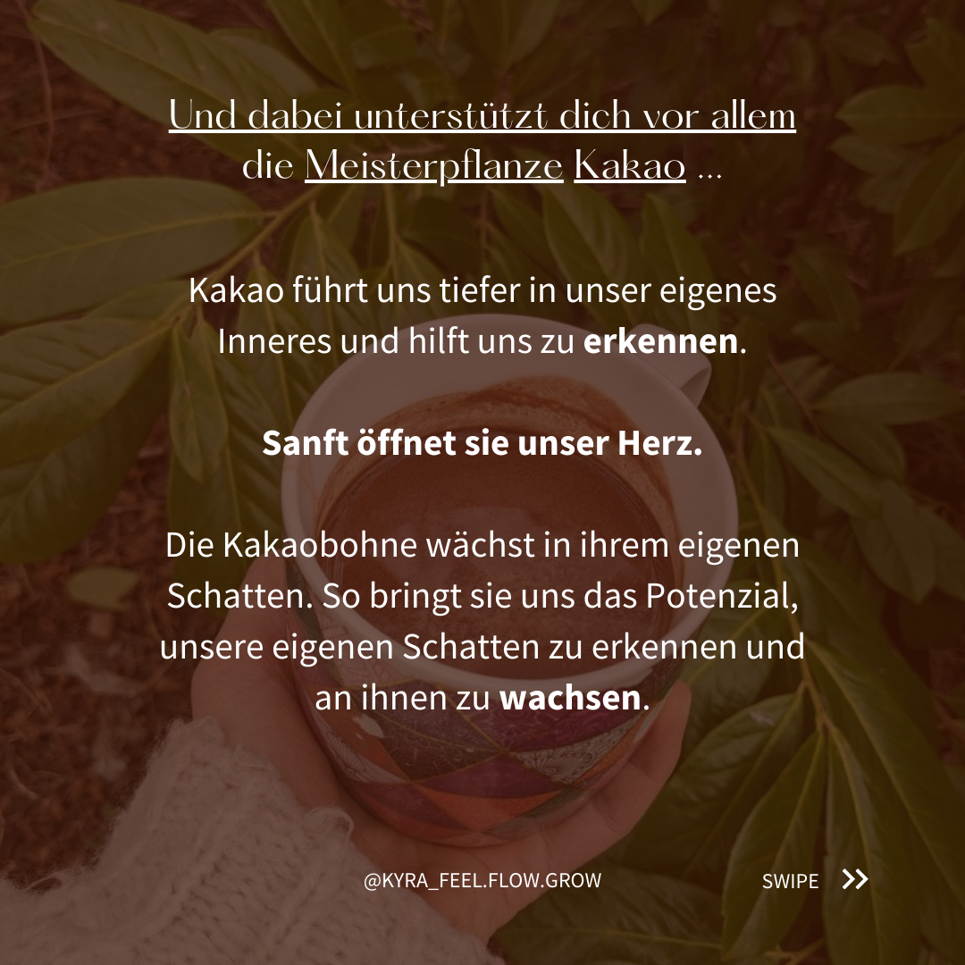 event: Lass die Heilpflanze Kakao dich unterstützen auf deinem Weg zu dir selbst. - Medicine Circle + Kakao Tasting