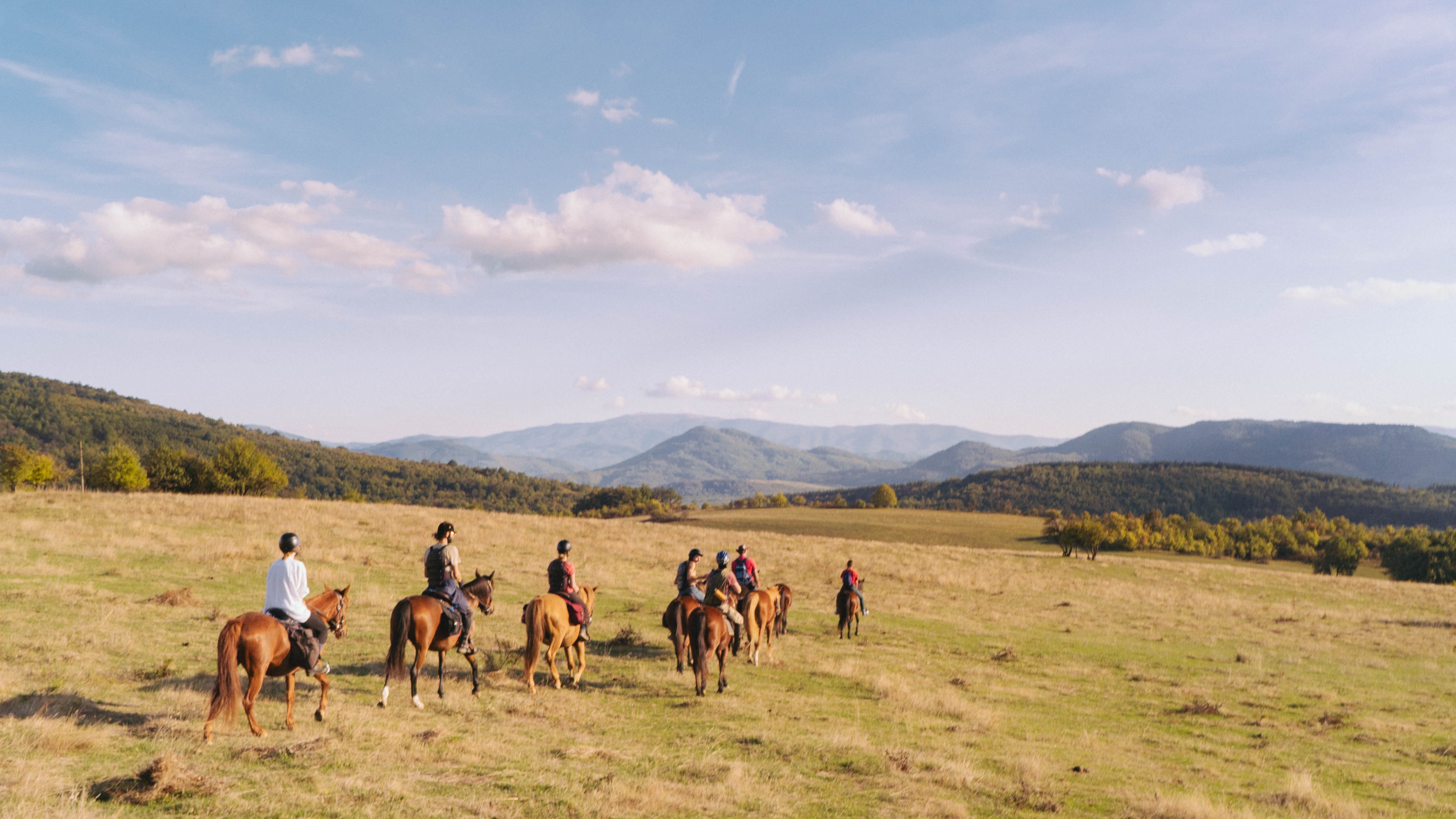 event: A Horse Journey Combined with Meditative Spaces - A journey of Yin & Yang