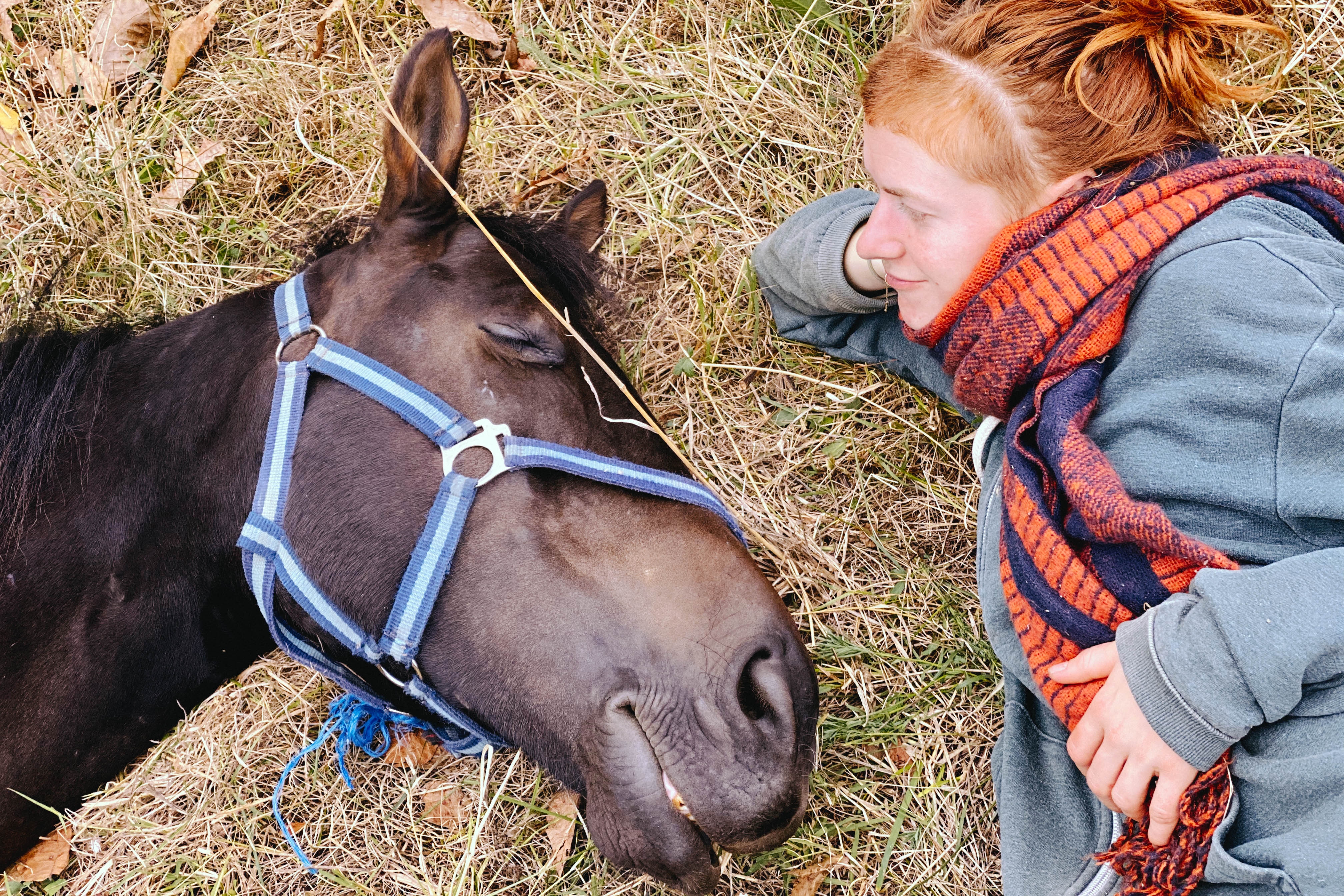 event: A Horse Journey Combined with Meditative Spaces - A journey of Yin & Yang